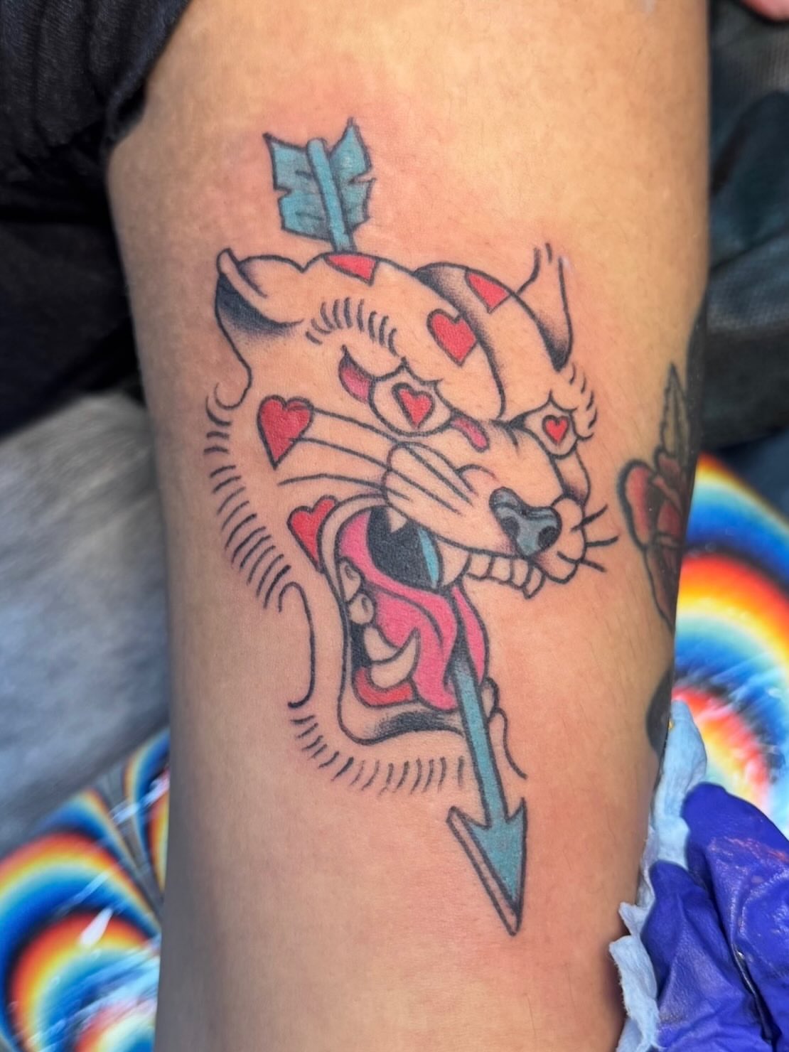 Cat with hearts American traditional tattoo on the forearm by Bradleigh Pretti🌟