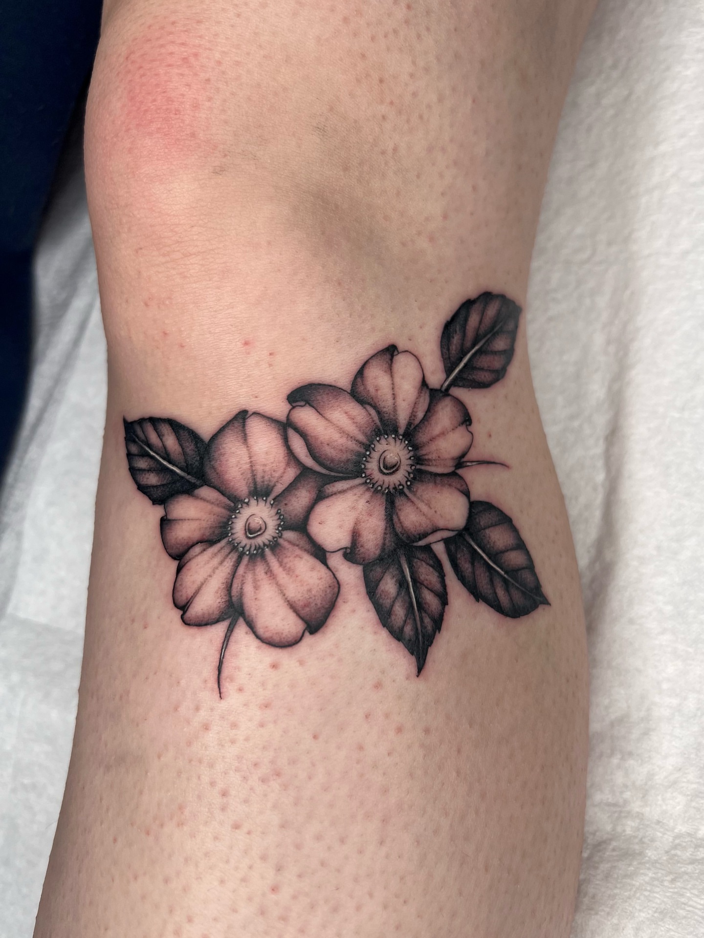 Flowers black and grey tattoo on the forearm by 𝔐𝔦𝔠𝔥𝔢𝔩𝔩𝔢 ℭ𝔥𝔞𝔪𝔢𝔯𝔩𝔦𝔨