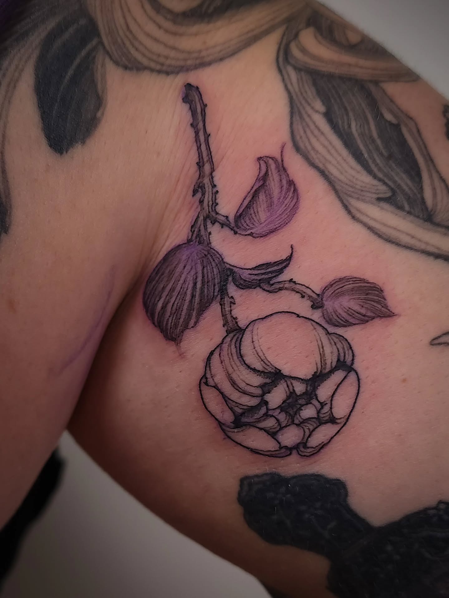 Raspberry black and grey tattoo on the chest by ๐ฏ๐๐๐๐ ๐ท๐๐๐๐