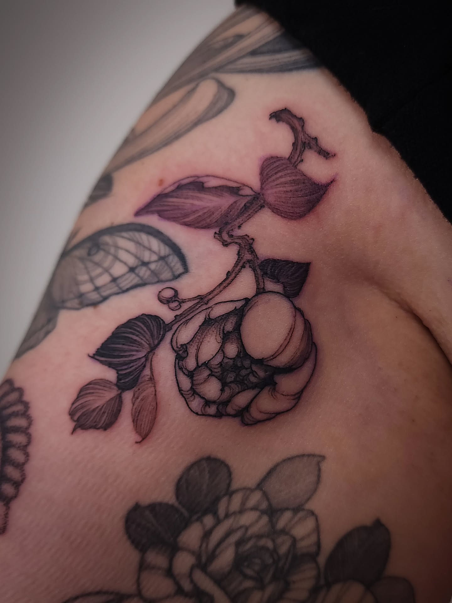 Peach and leaves black and grey tattoo on the shoulder by ๐ฏ๐๐๐๐ ๐ท๐๐๐๐
