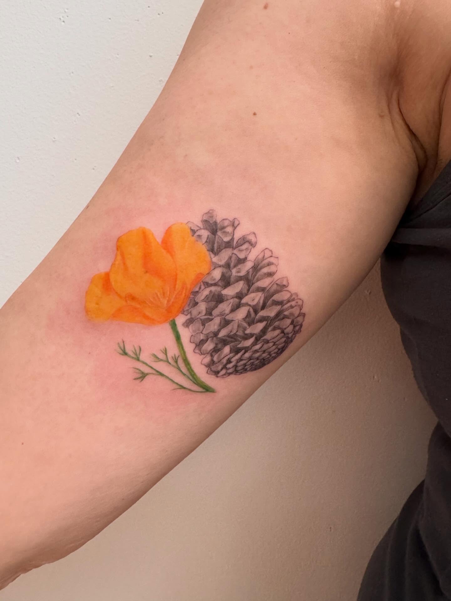 California poppy and pinecone realism tattoo on the forearm by Enda 🧚🏻‍♀️