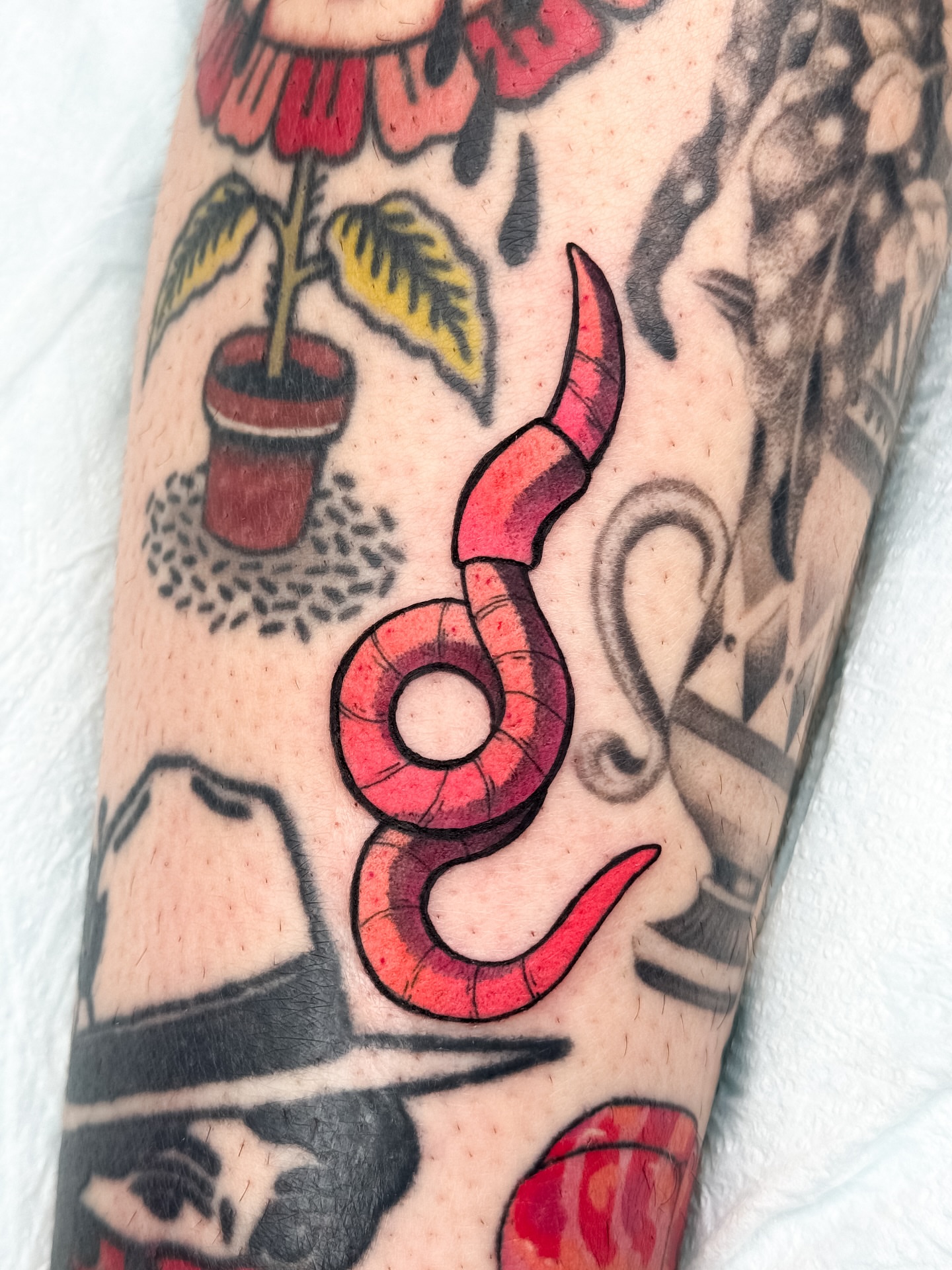 Snake American traditional tattoo on the forearm by Hades cabrera, Richmond, Virginia