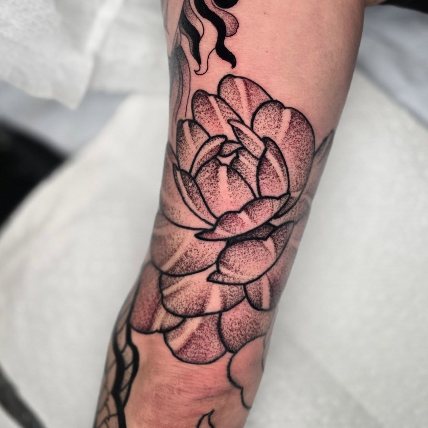 Lotus flower dotwork tattoo on the forearm by Adison Essig
