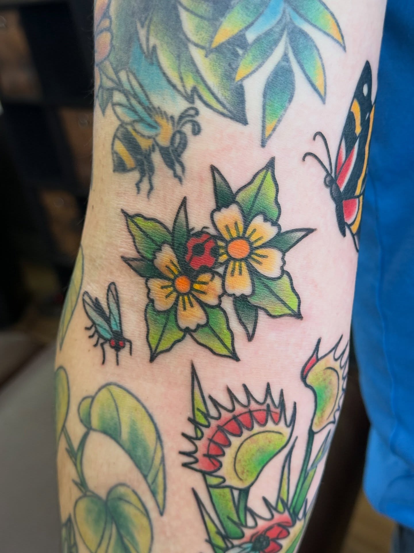 Flowers and insects American traditional tattoo on the forearm by Kelsey Louis, Iowa City, Iowa