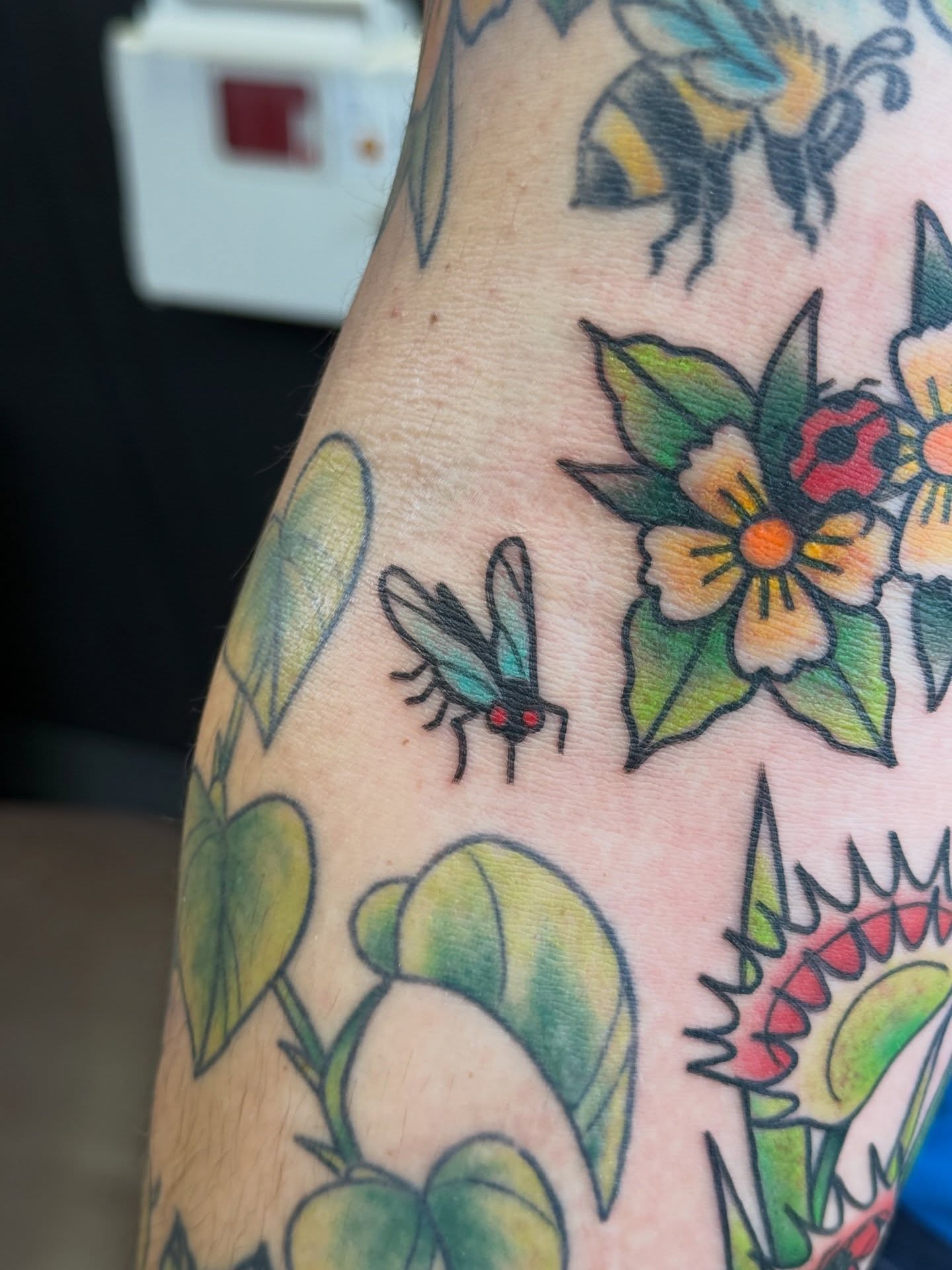 Fly and flowers American traditional tattoo on the forearm by Kelsey Louis, Iowa City, Iowa