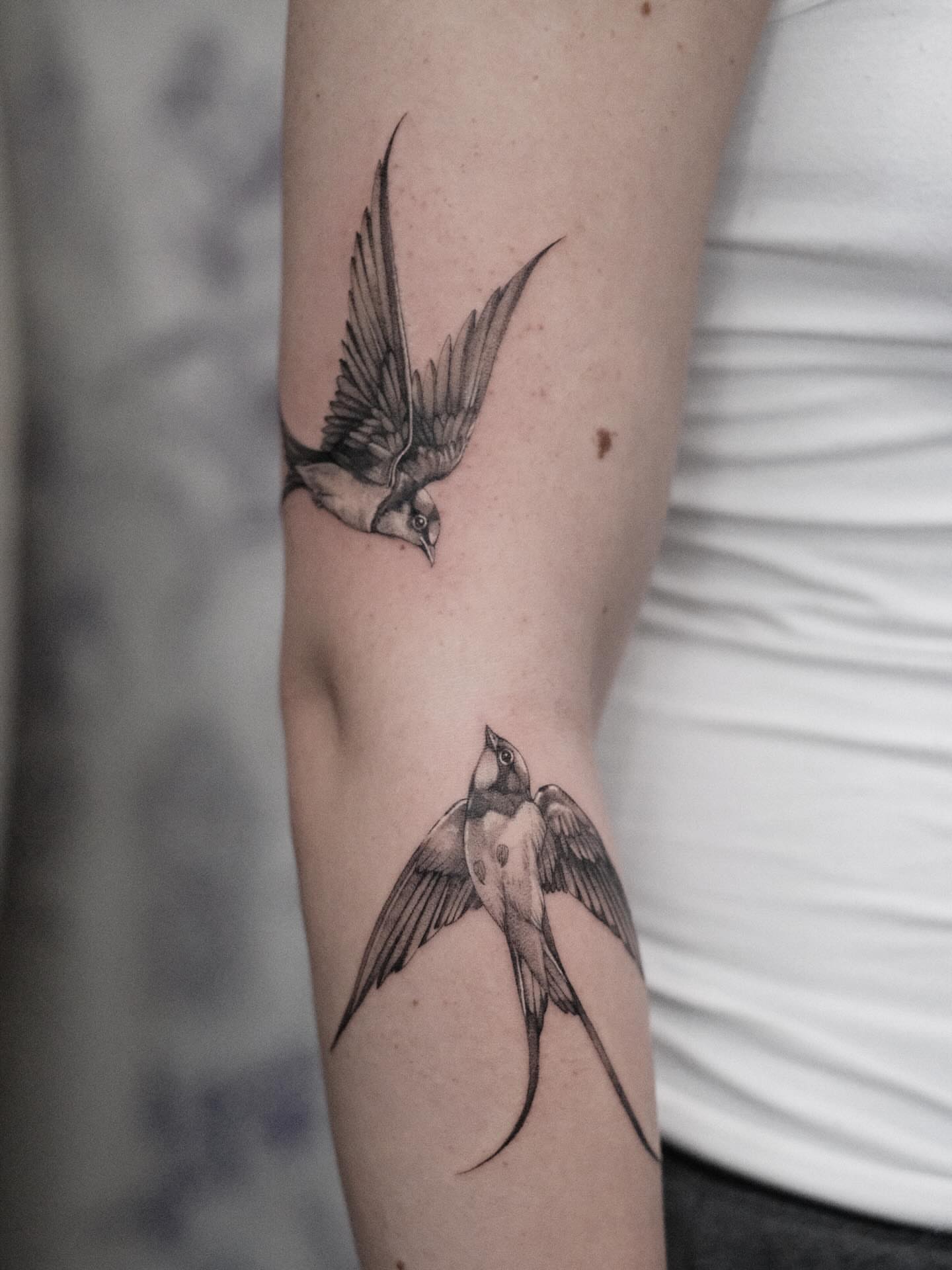 Swallows realism tattoo on the forearm by Isabelle Kellar, San Diego, California