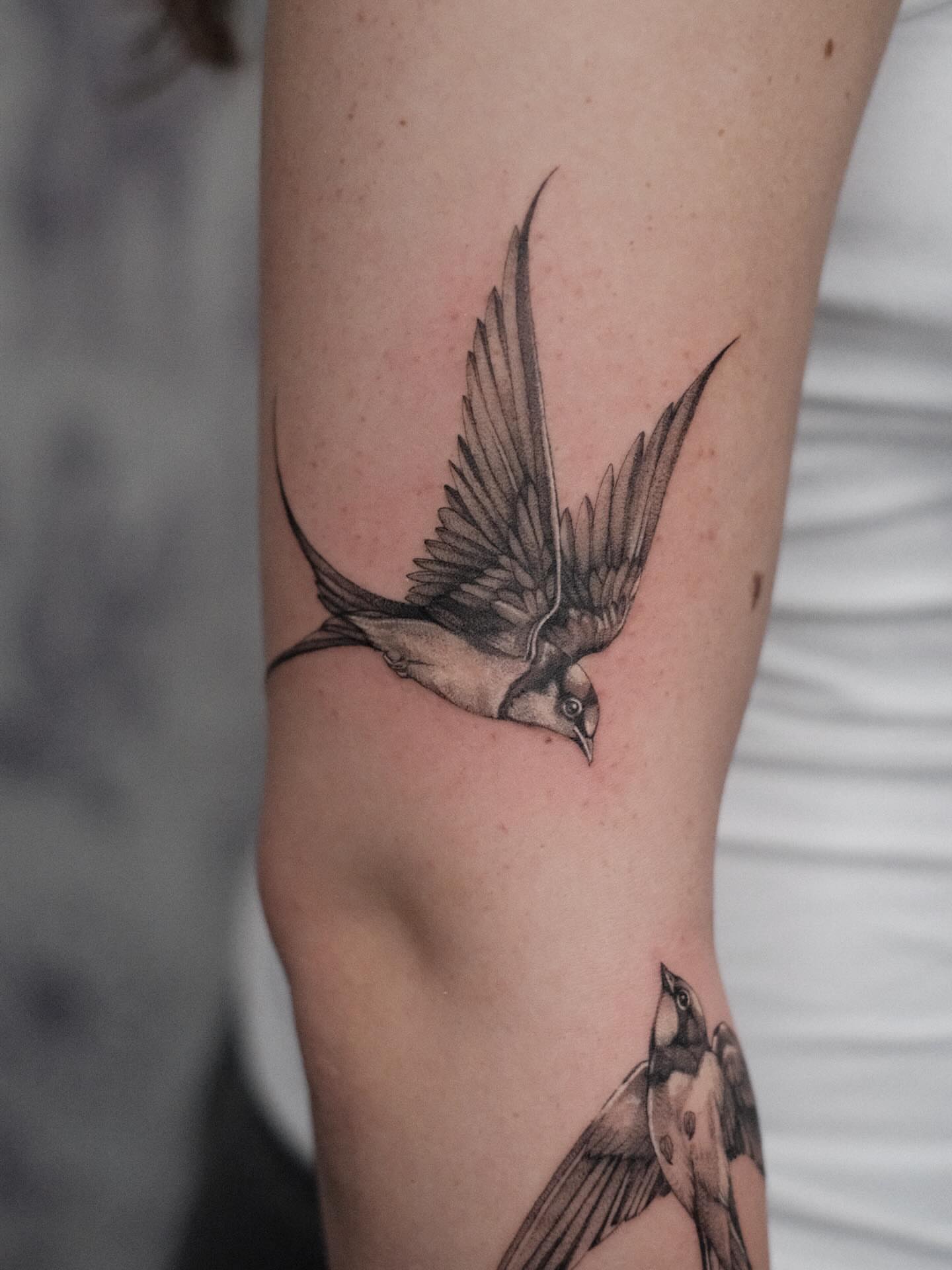 Swallow realism tattoo on the forearm by Isabelle Kellar, San Diego, California