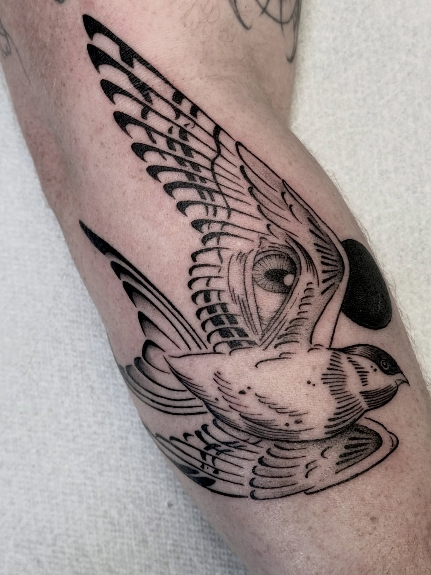 Swallow American traditional tattoo on the forearm by Hannah May, La Mesa, California