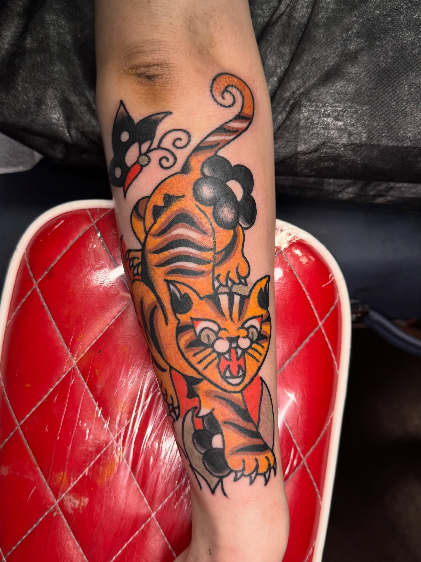 Tiger American traditional tattoo on the forearm by lily gustave i tattoo