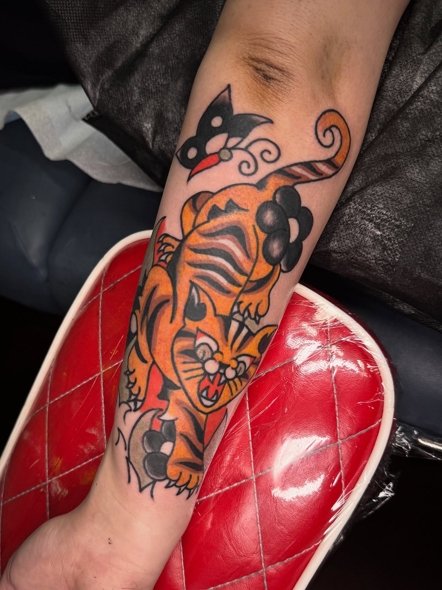 Tiger American traditional tattoo on the forearm by lily gustave i tattoo