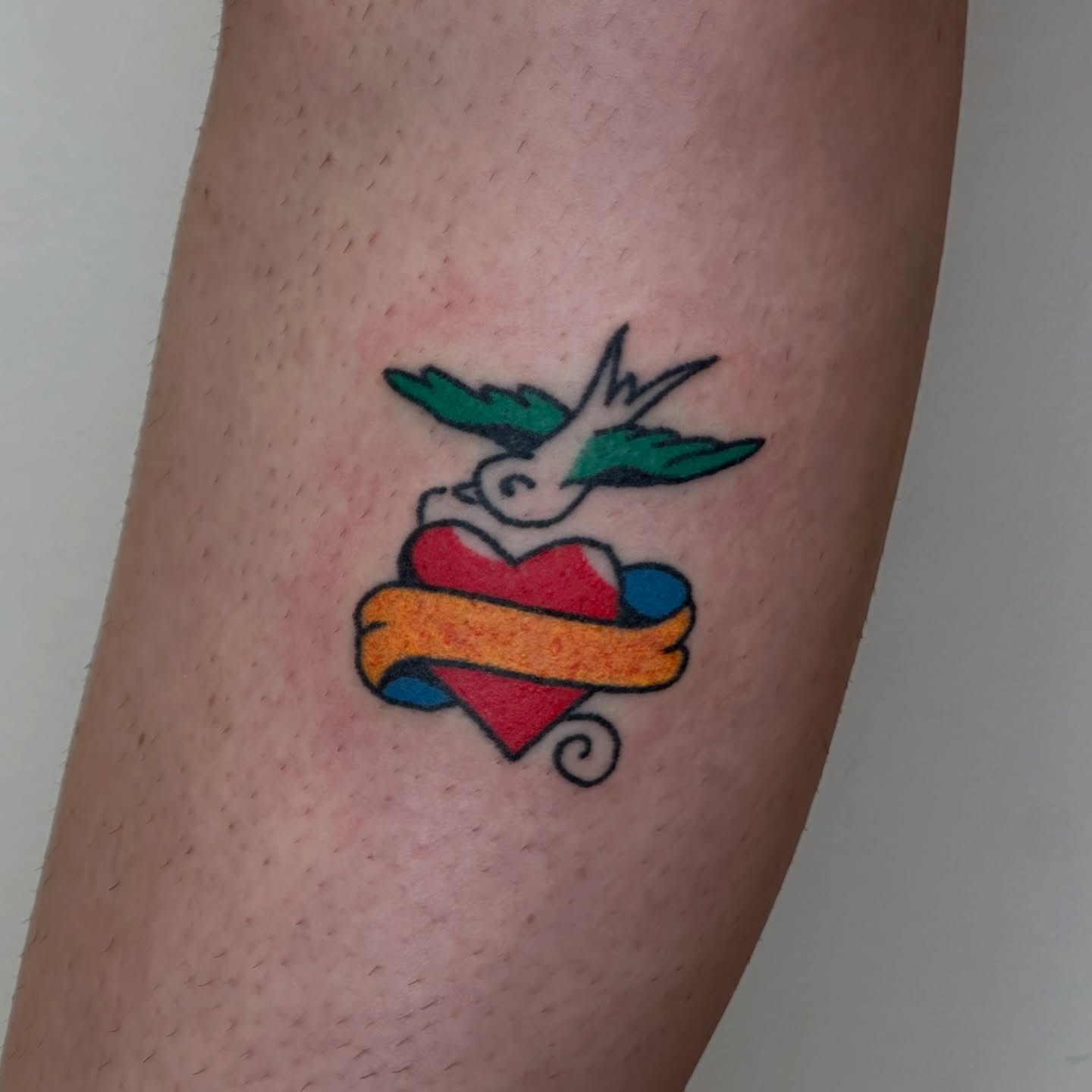 Heart with dove American traditional tattoo on the forearm by paulina