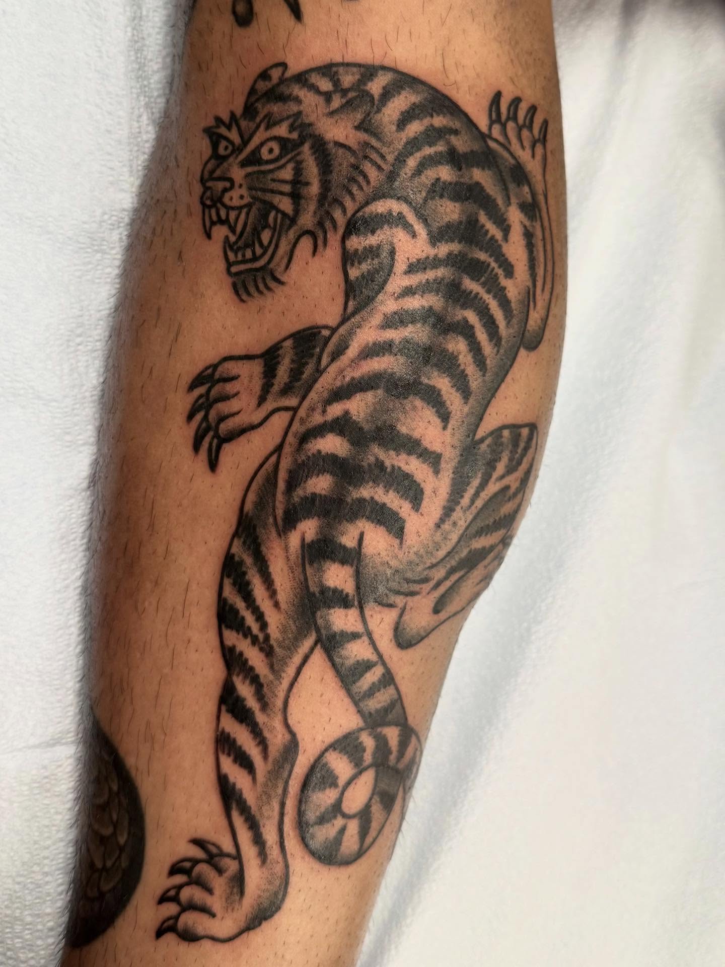 Tiger American traditional tattoo on the forearm by Jesse Boss, Nashville, Tennessee