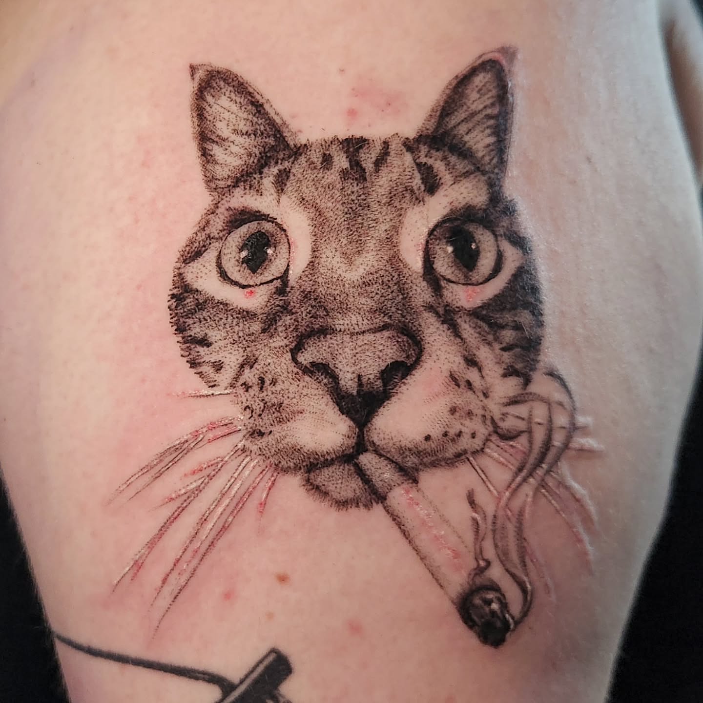 Tattoo by @bongobodyart — dotwork, realism