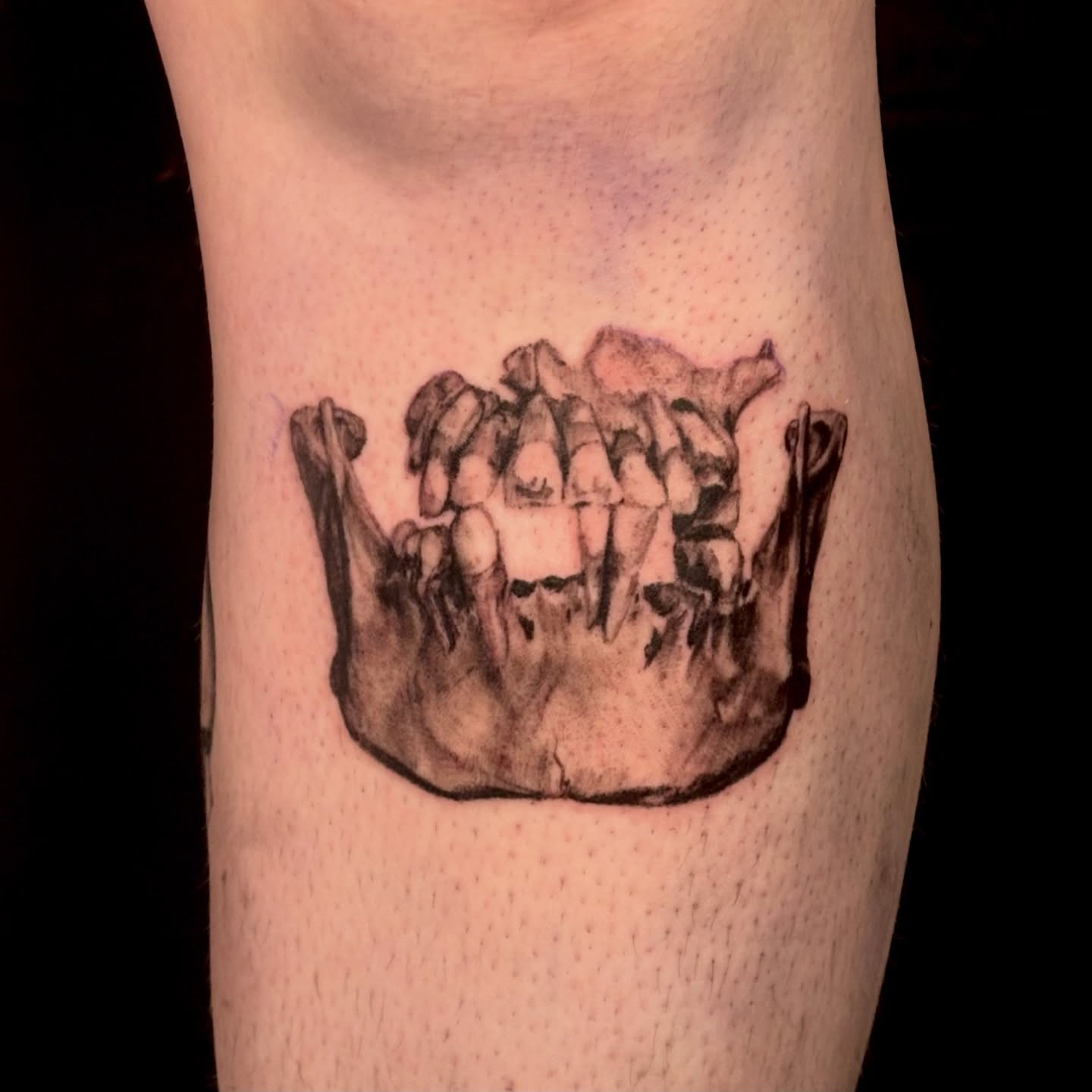 Jawbone black and grey tattoo on the forearm by jordy