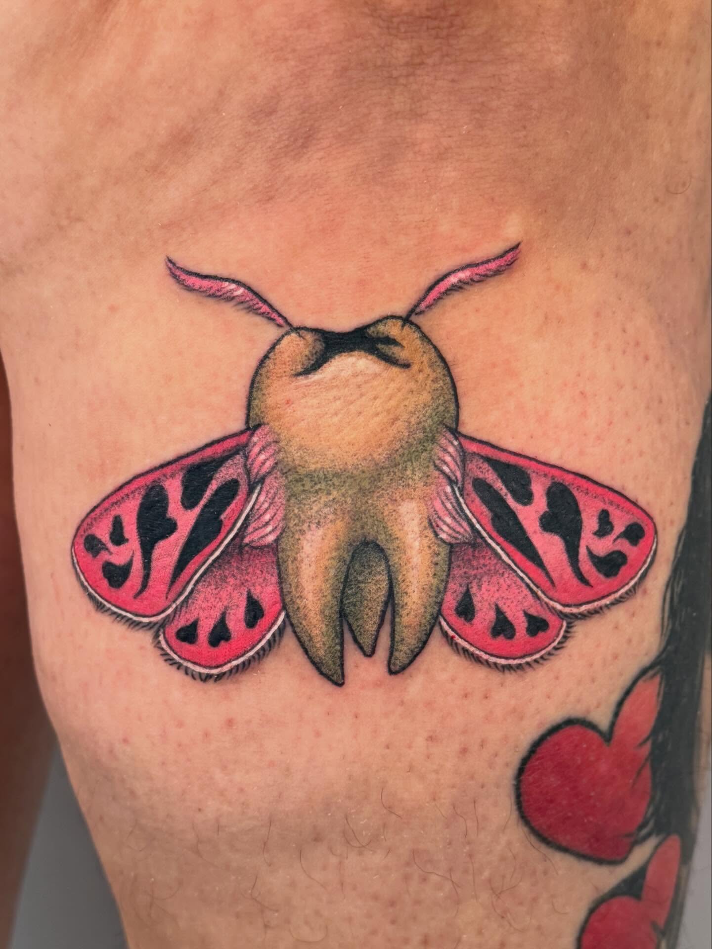 Moth tooth American traditional tattoo on the thigh by leanna patterson, Ruston, Louisiana