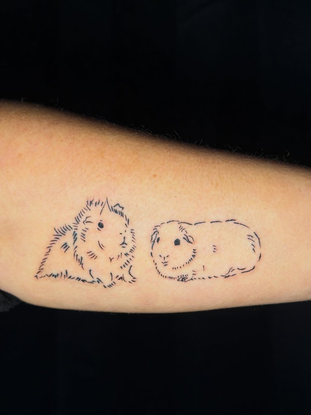 Two guinea pigs realism tattoo on the forearm by K. Bel Art