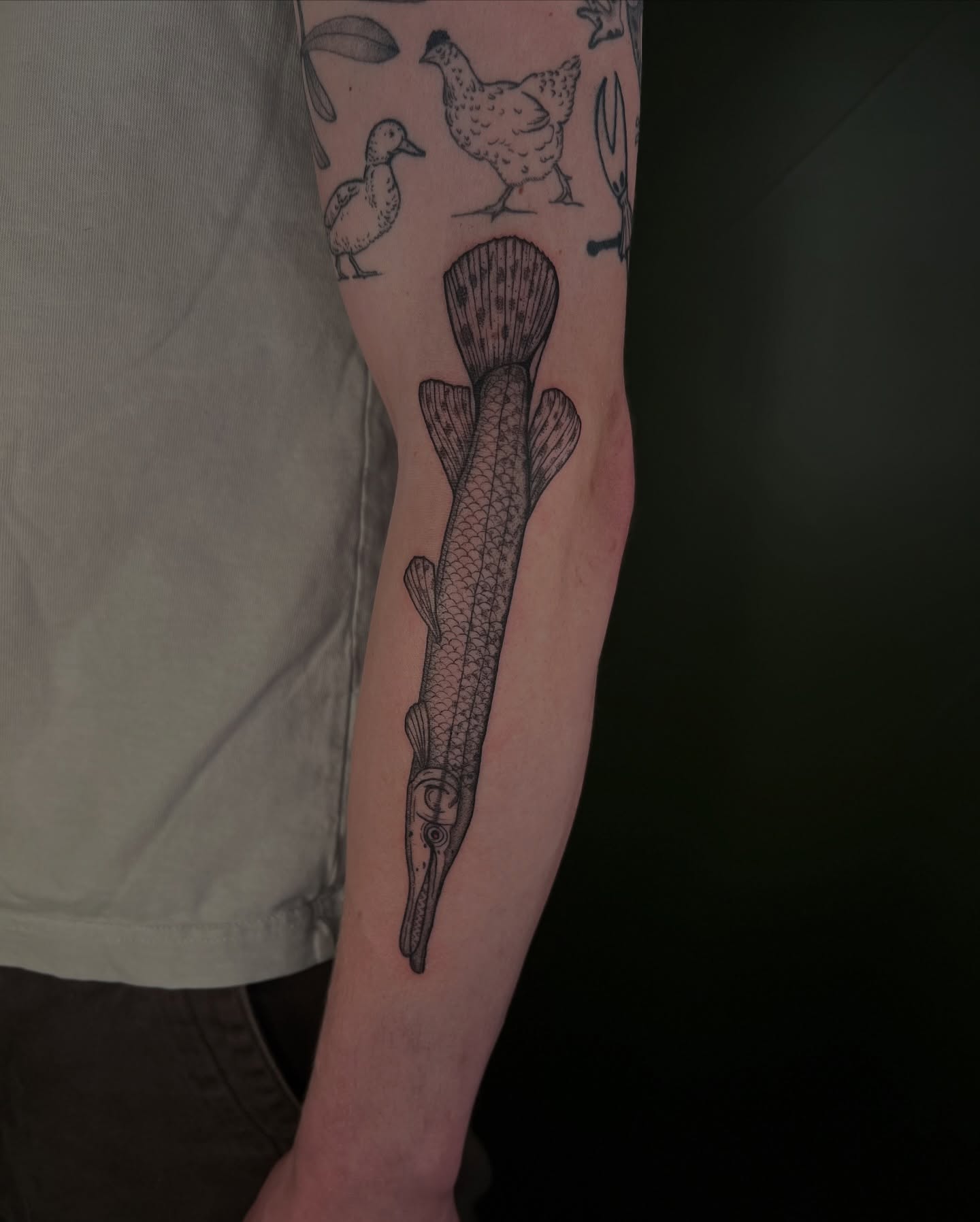 Alligator gar black and grey tattoo on the forearm by ๐ฅ ๐๐ฅ๐๐ฑ๐ข๐ฌ ๐ฅ