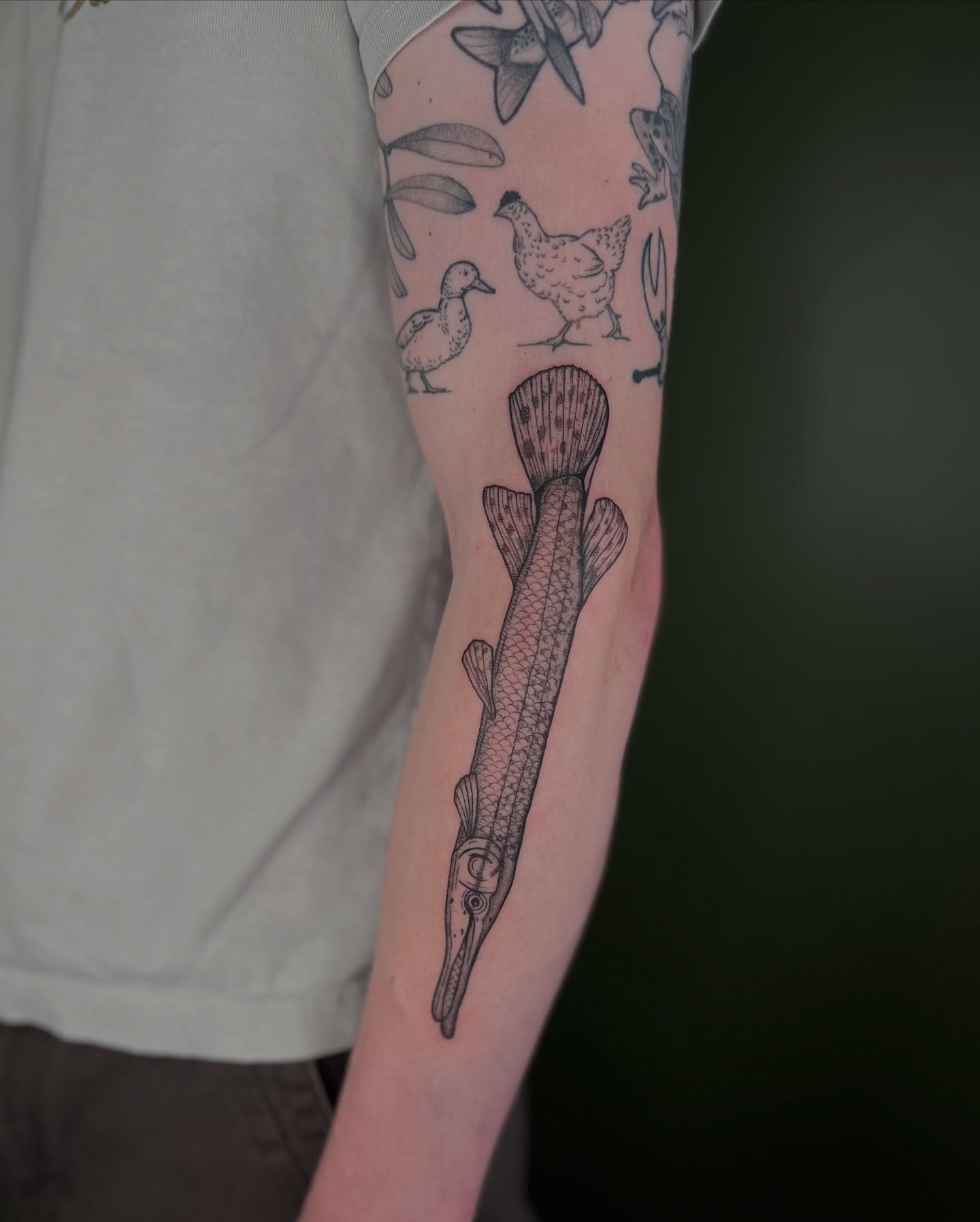Alligator gar black and grey tattoo on the forearm by ๐ฅ ๐๐ฅ๐๐ฑ๐ข๐ฌ ๐ฅ