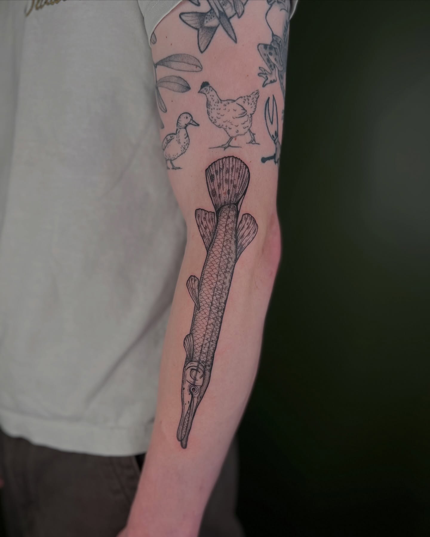 Alligator gar black and grey tattoo on the forearm by ๐ฅ ๐๐ฅ๐๐ฑ๐ข๐ฌ ๐ฅ