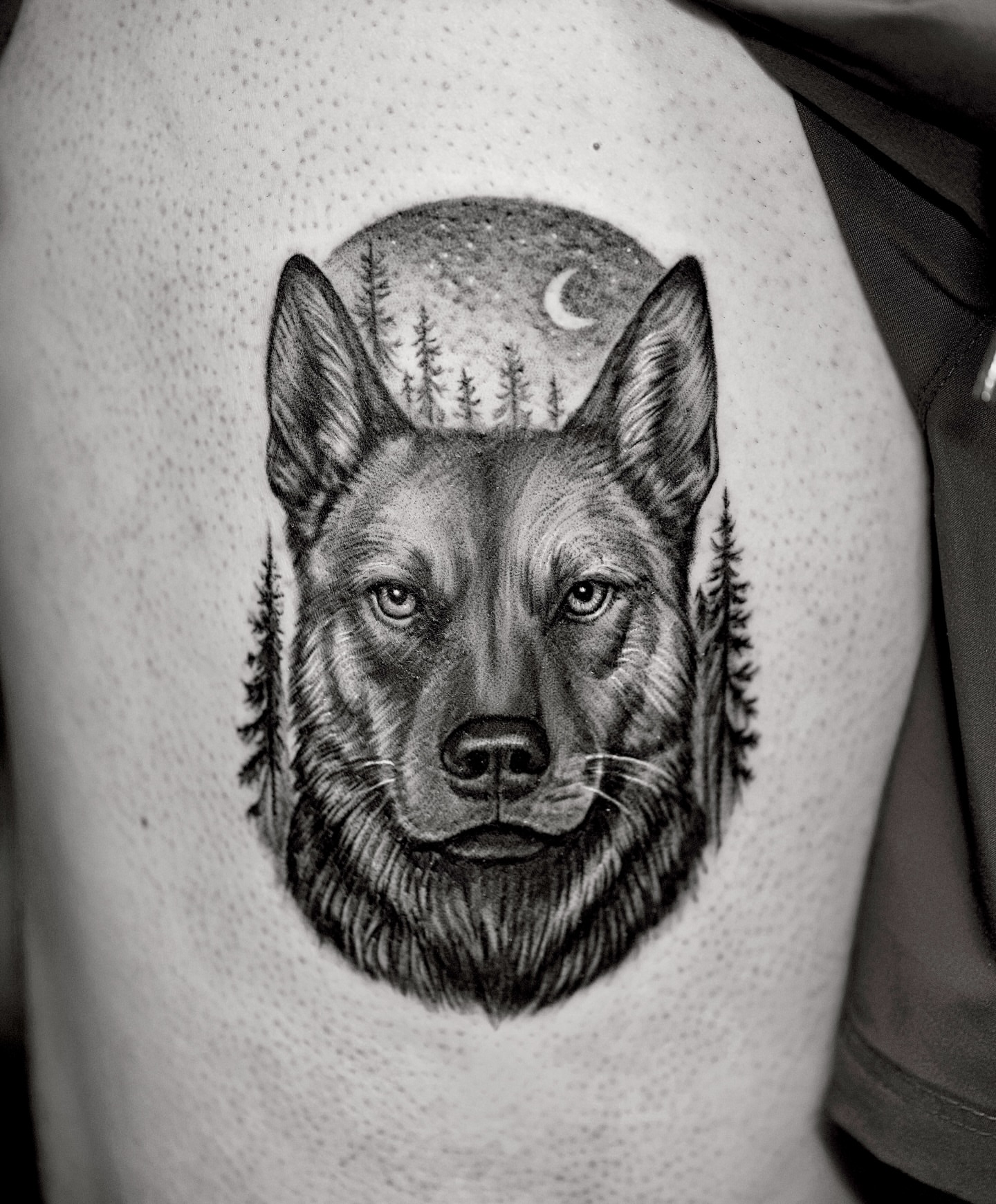 Tattoo by @d.w._modoink — dotwork, realism