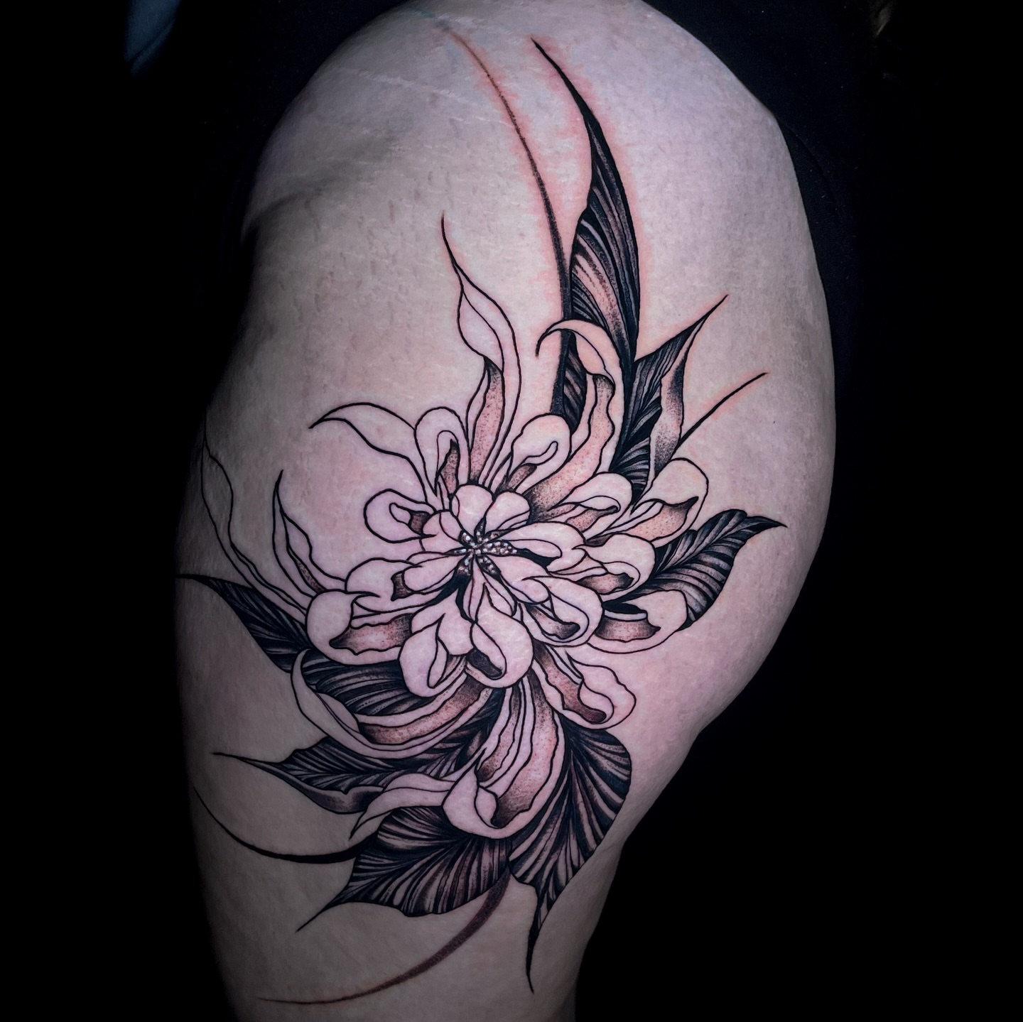 Chrysanthemum black and grey tattoo on the shoulder by Miguel Henrik
