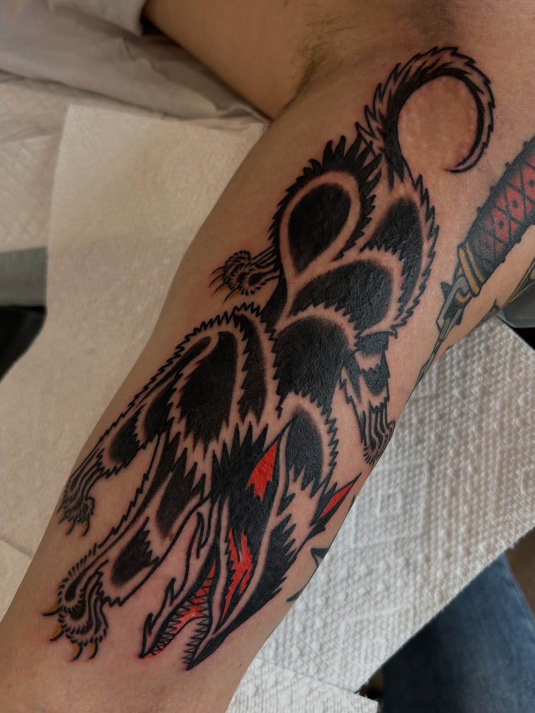 Tattoo by @lillykatetattoos — american_traditional