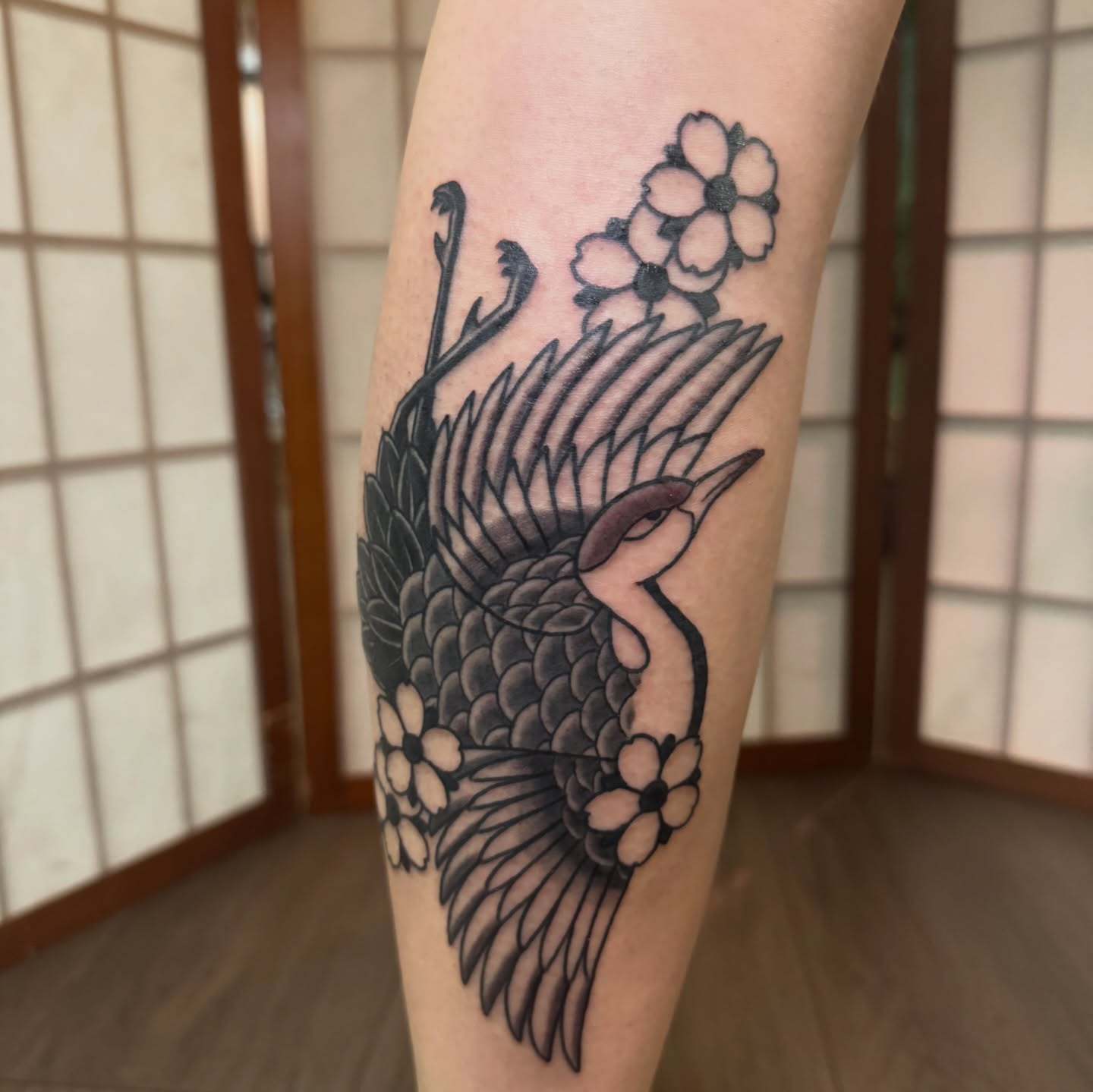 Peacock and cherry blossoms black and grey tattoo on the forearm by Dylan