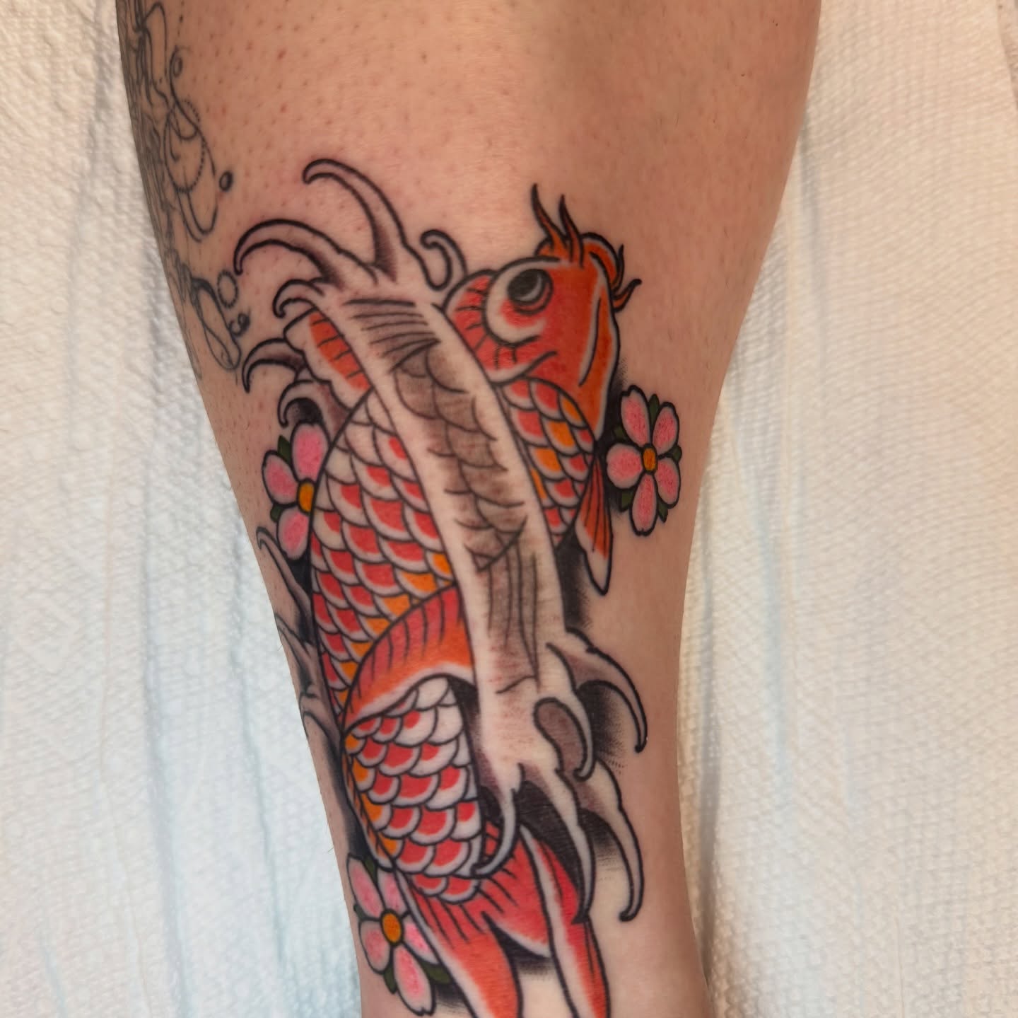 Koi fish American traditional tattoo on the forearm by Dylan