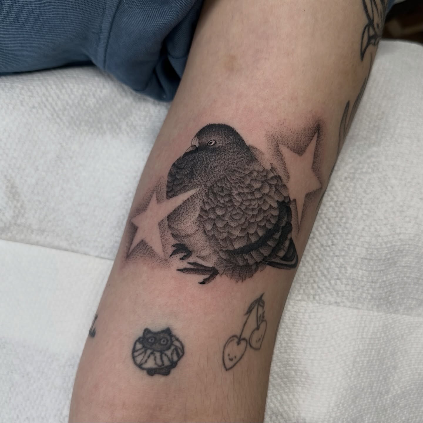 Bird with stars dotwork tattoo on the forearm by Brooklyn Bailey