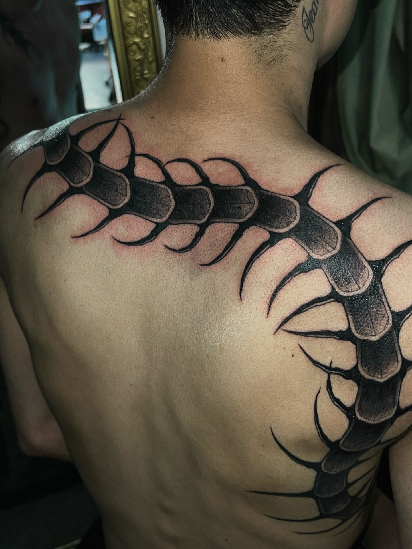 Spine black and grey tattoo on the back by ♡ ant ☆