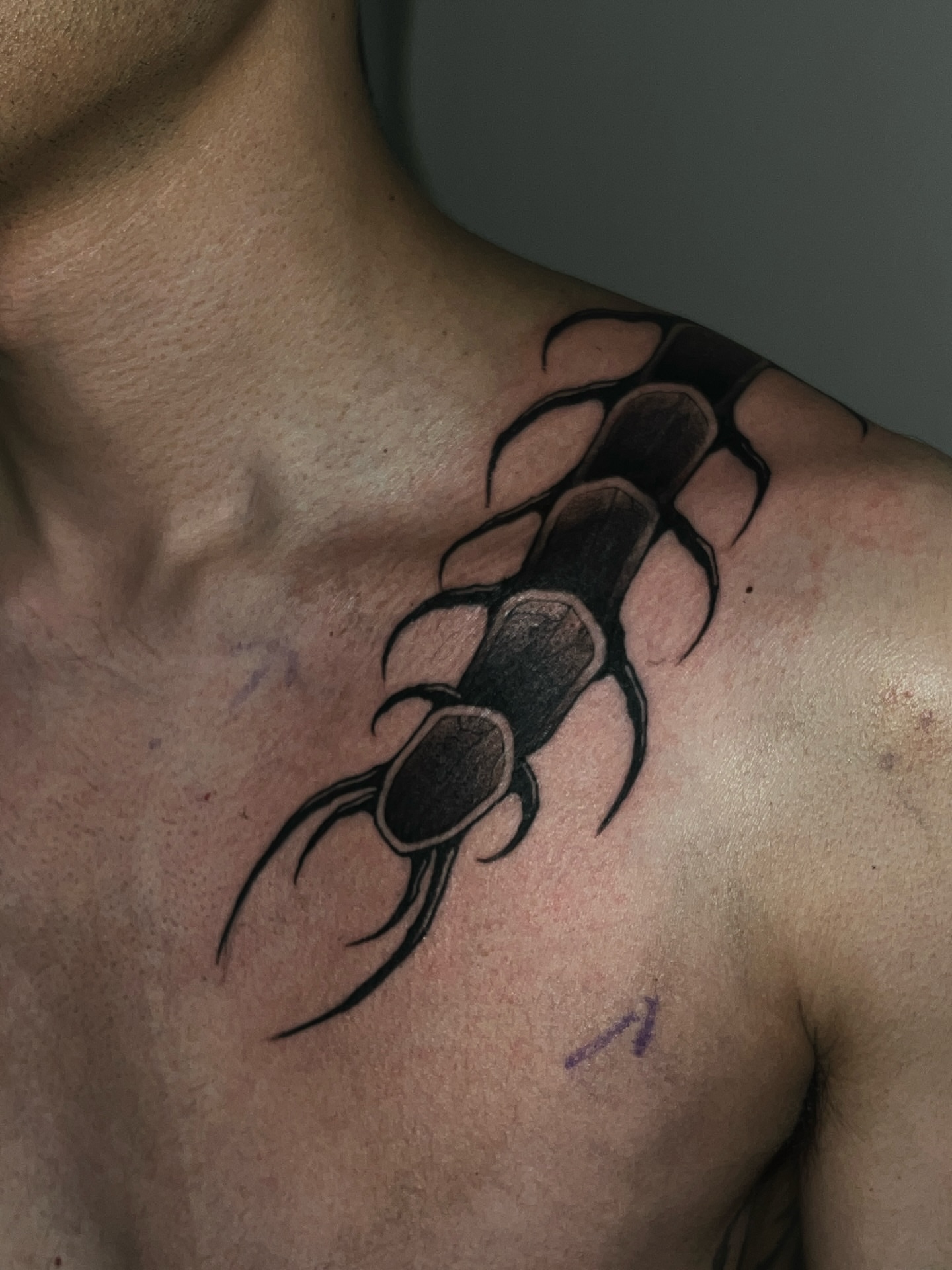 Centipede black and grey tattoo on the shoulder by ♡ ant ☆