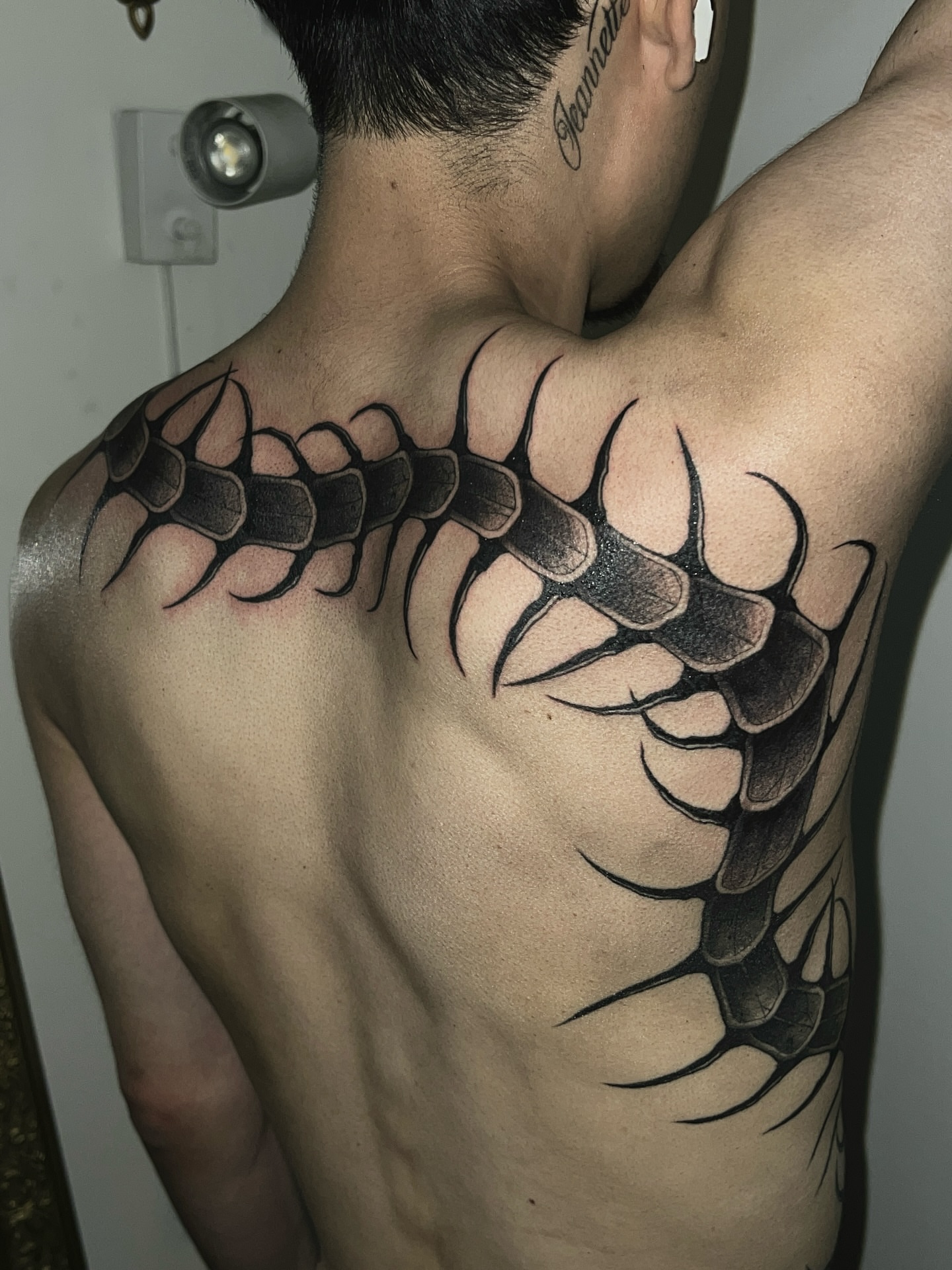 Spine black and grey tattoo on the back by ♡ ant ☆