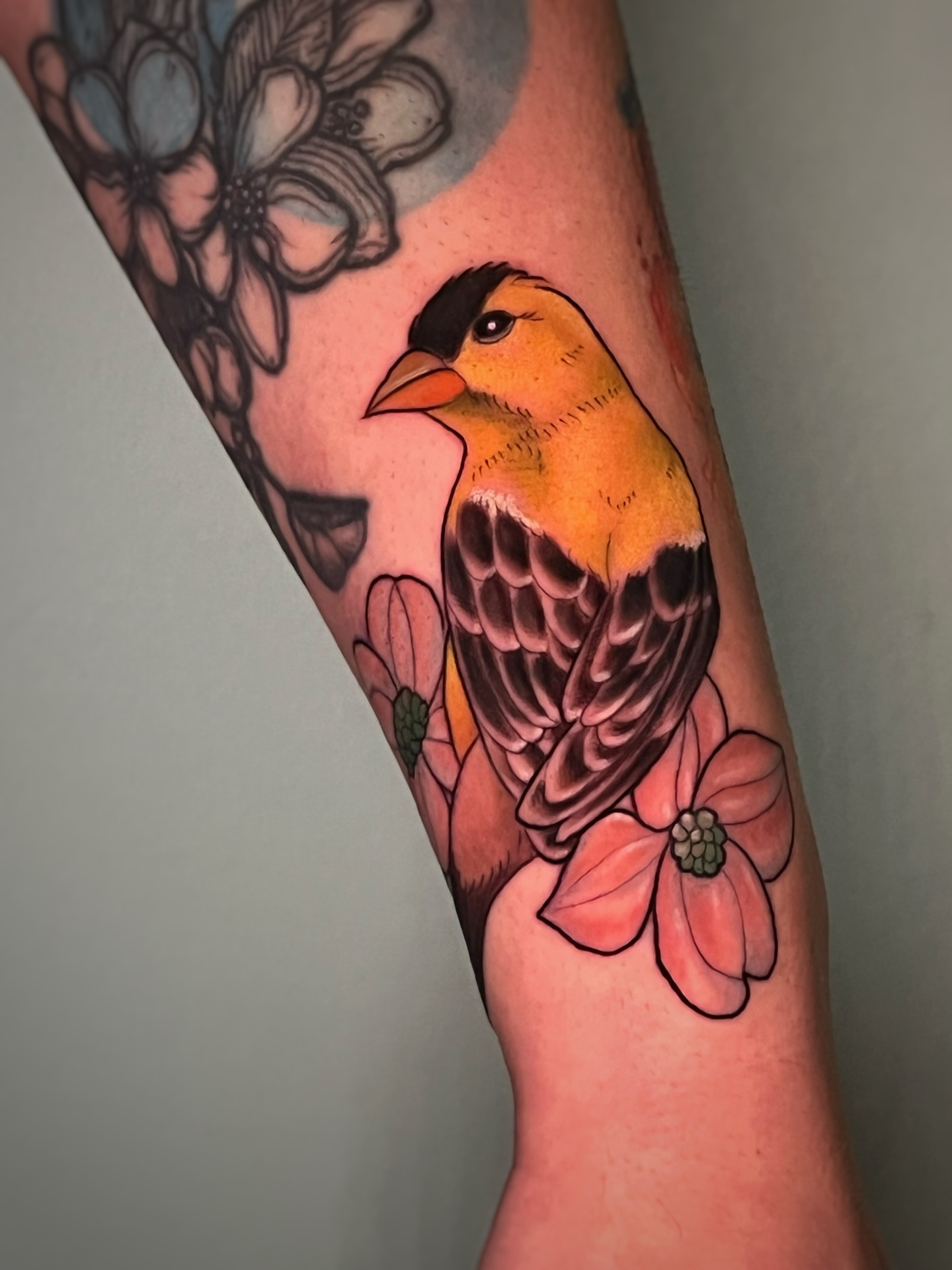 Goldfinch and flowers American traditional tattoo on the forearm by Michelle Pomerantz 🌼 Portland Tattoo Artist