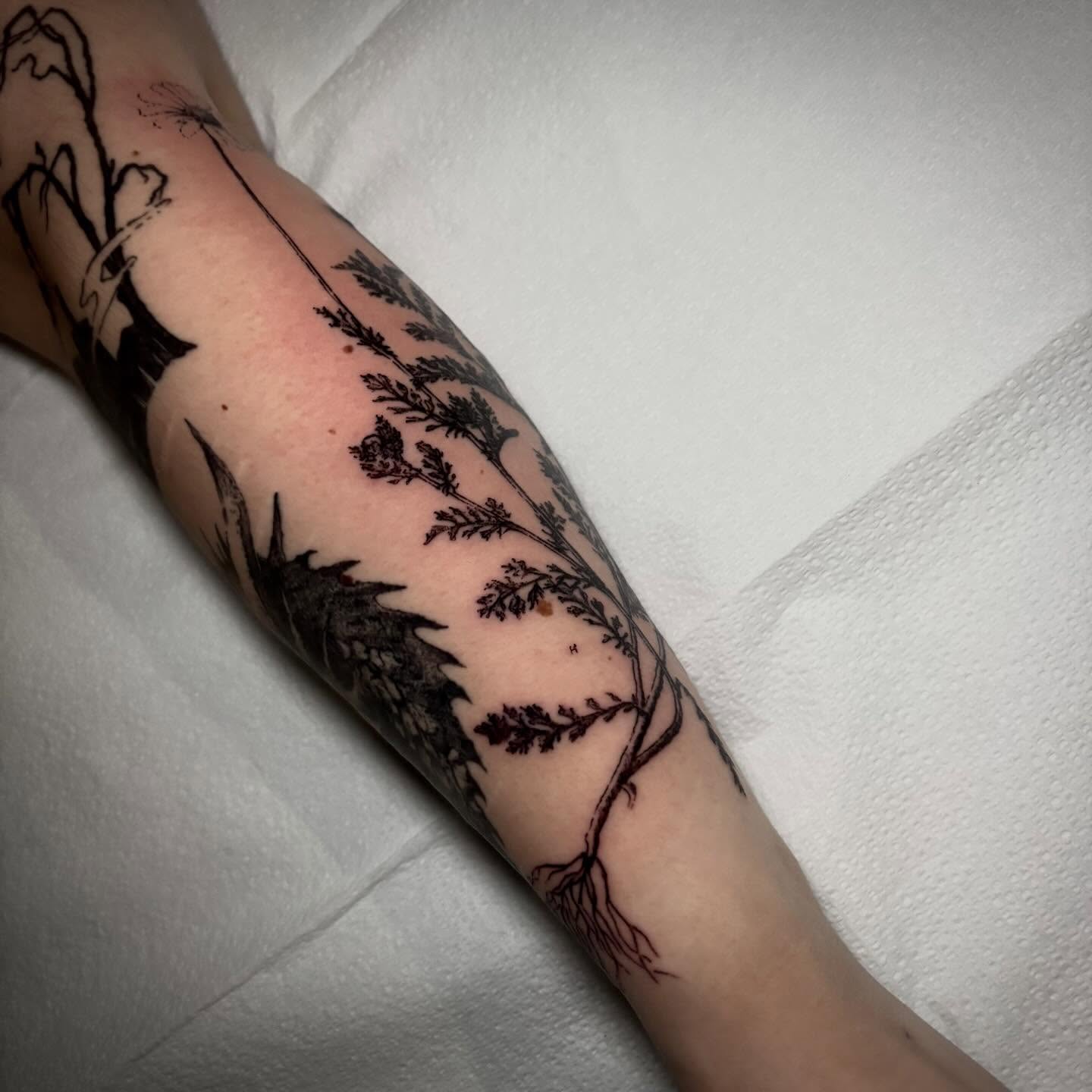 Tattoo by @unknownliquids — black_and_grey