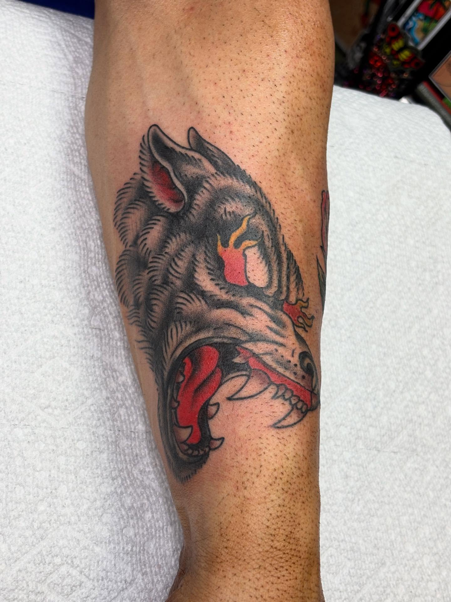 Wolf American traditional tattoo on the forearm by Mike DiCicco