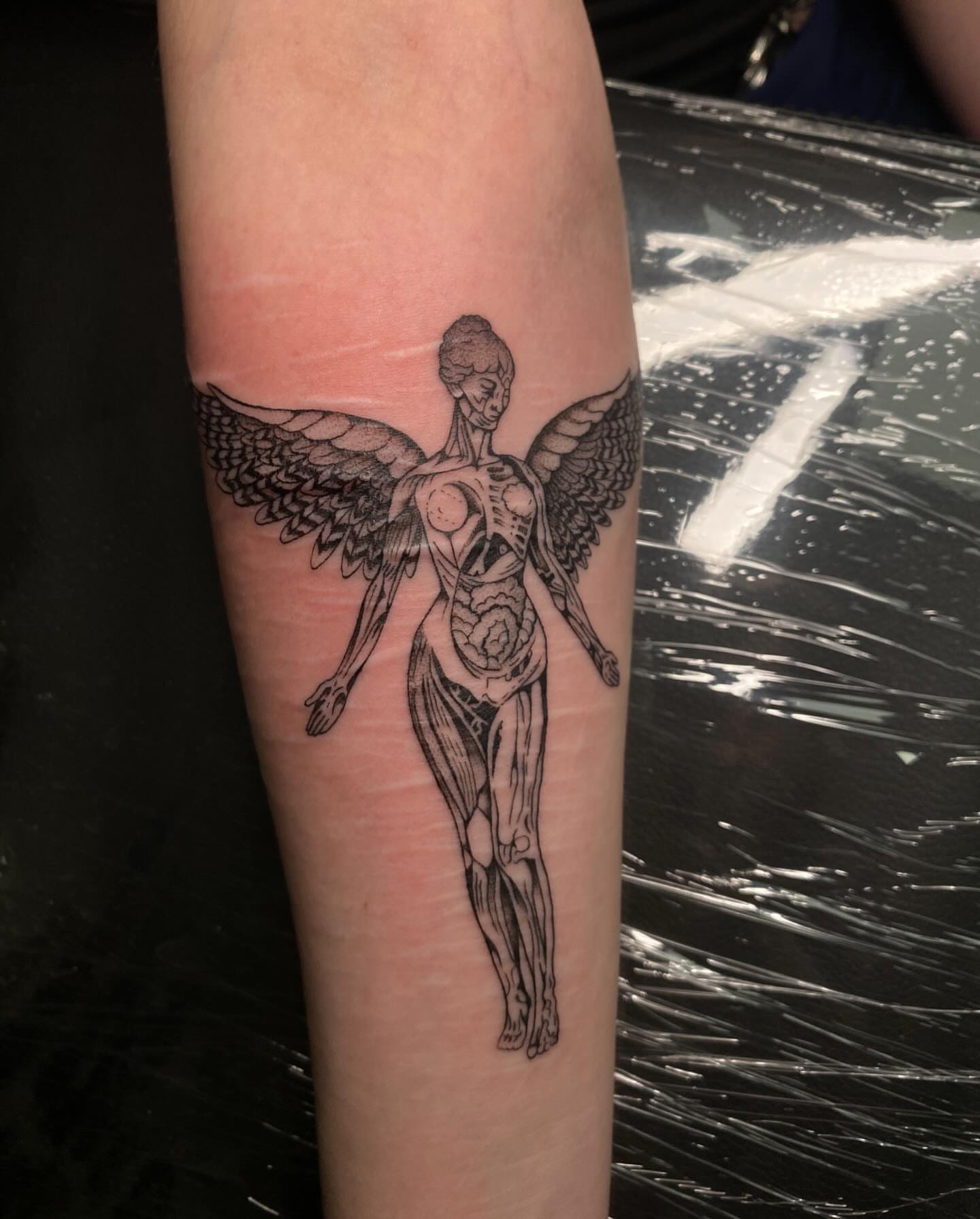 Anatomical angel realism tattoo on the forearm by 𝕶𝖆𝖒 ~ 𝕿𝖆𝖙𝖙𝖔𝖔 𝕬𝖗𝖙𝖎𝖘𝖙