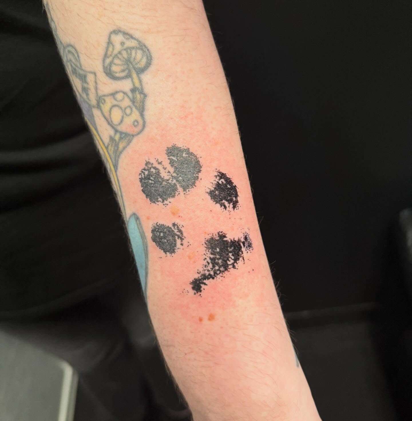 Paw print dotwork tattoo on the forearm by Felicity