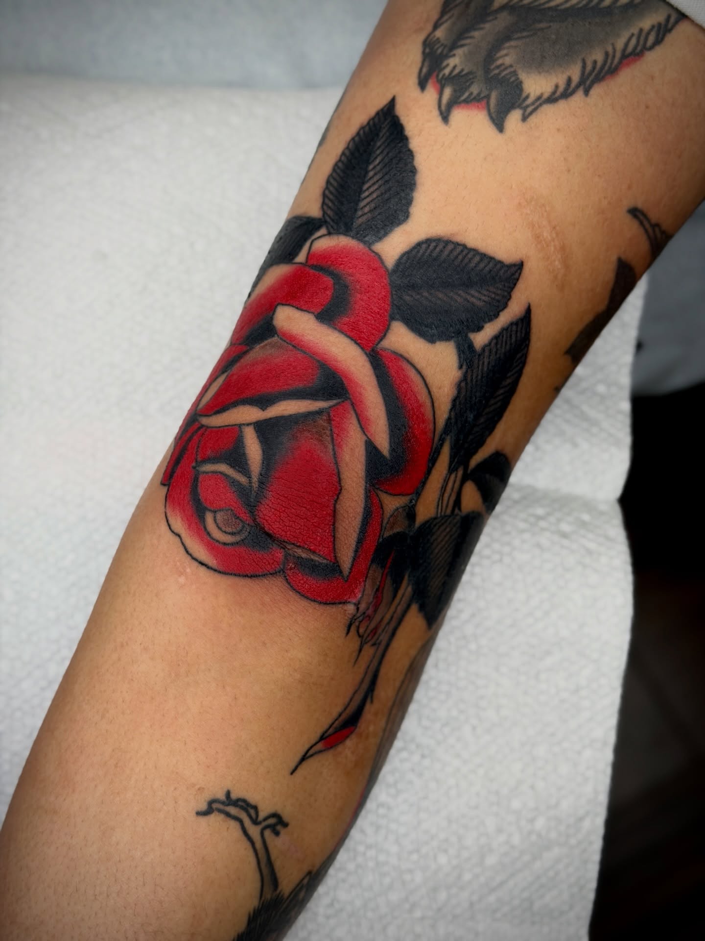 Red rose American traditional tattoo on the forearm by Diego Treviño