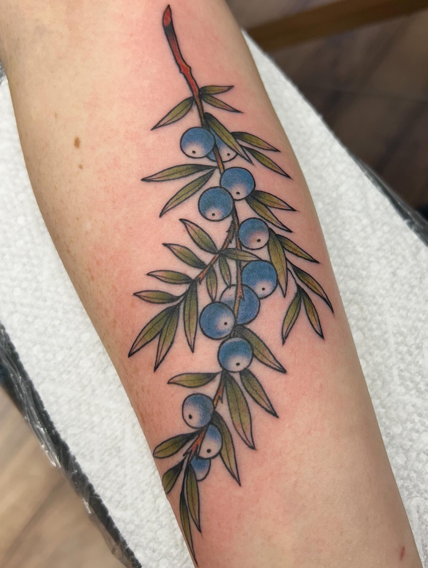 Blueberry branch realism tattoo on the forearm by Tiffany Vargas