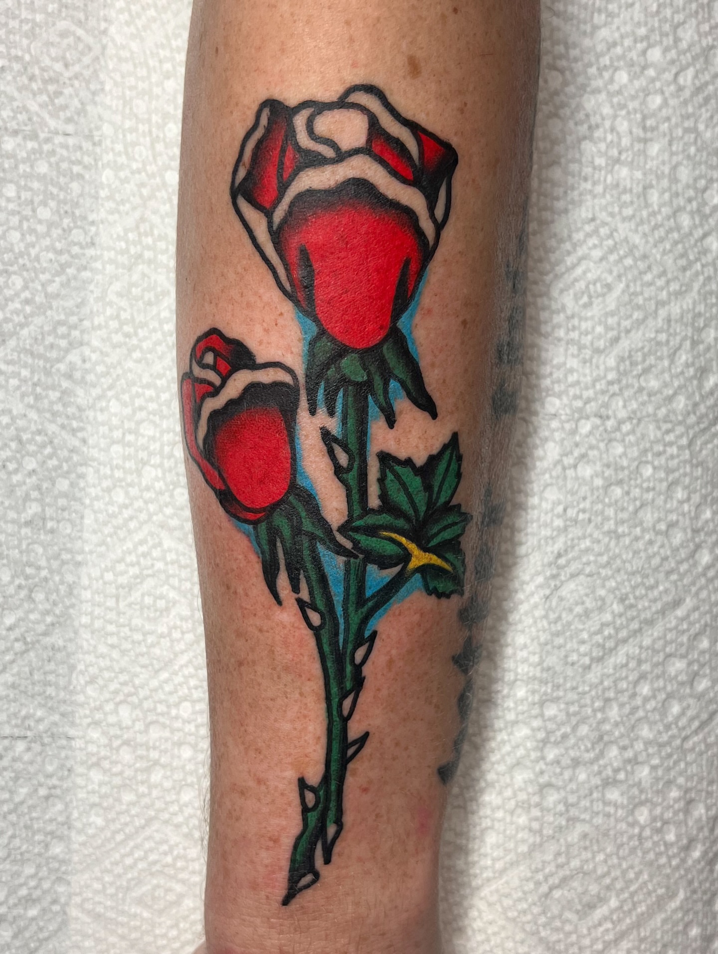 Roses American traditional tattoo on the forearm by Nestor Zelaya