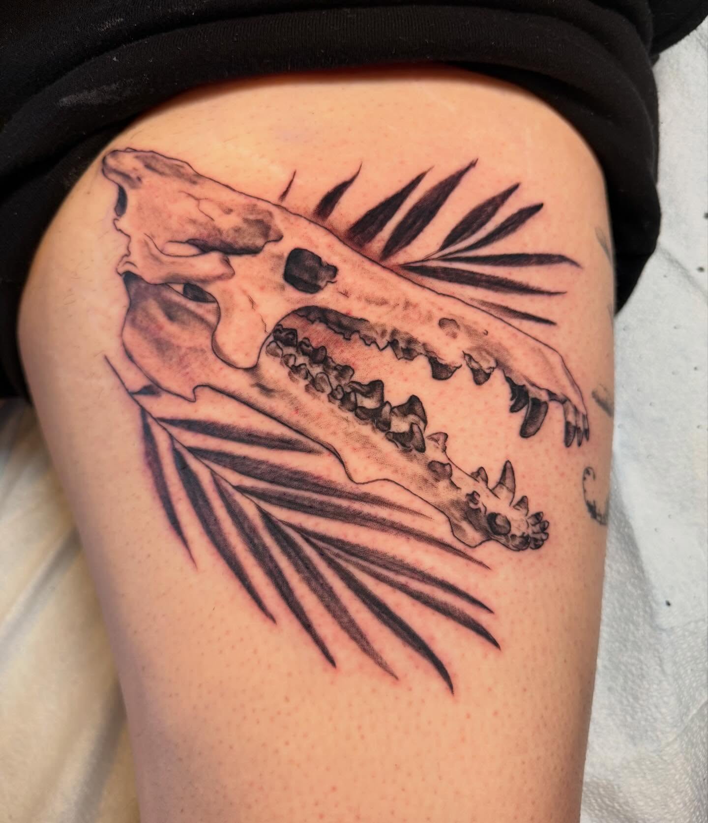 Alligator skull black and grey tattoo on the thigh by James Nelson