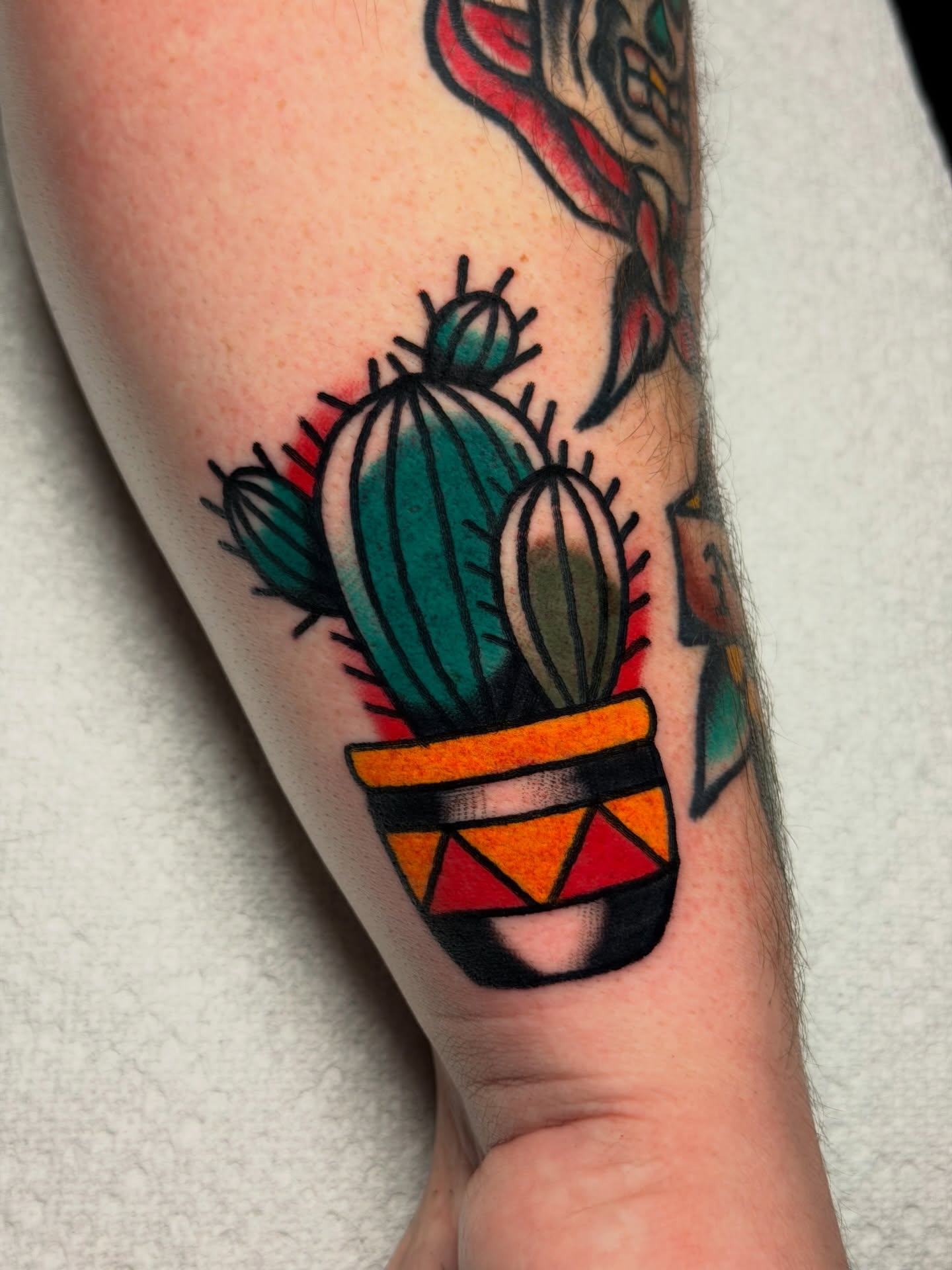 Tattoo by @behindboldlines โ american_traditional