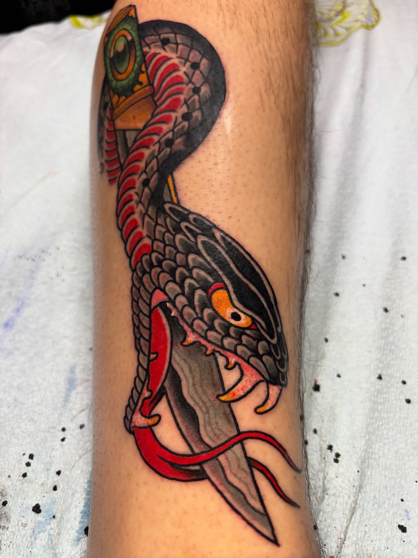 Snake American traditional tattoo on the forearm by Mike Maciejewski:Chicago Tattoo Artist