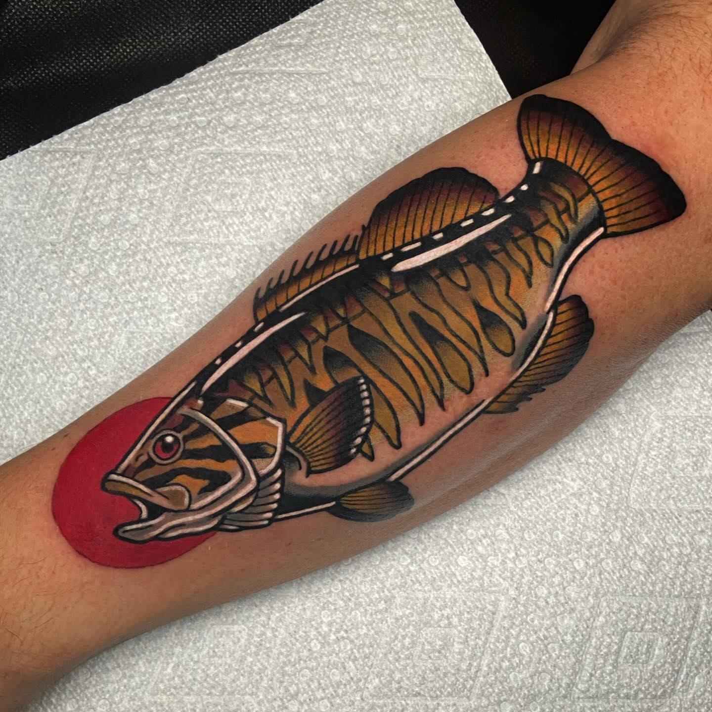 Fish American traditional tattoo on the forearm by Matthew Limbers⚜️