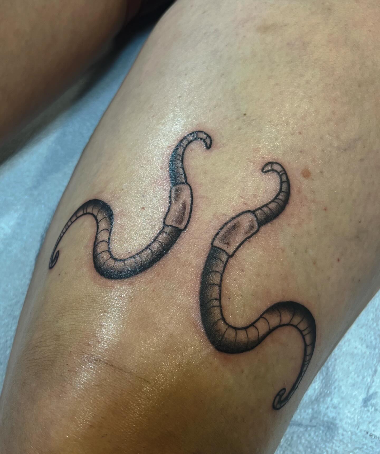 Worms black and grey tattoo on the forearm by β
πΈππππ β