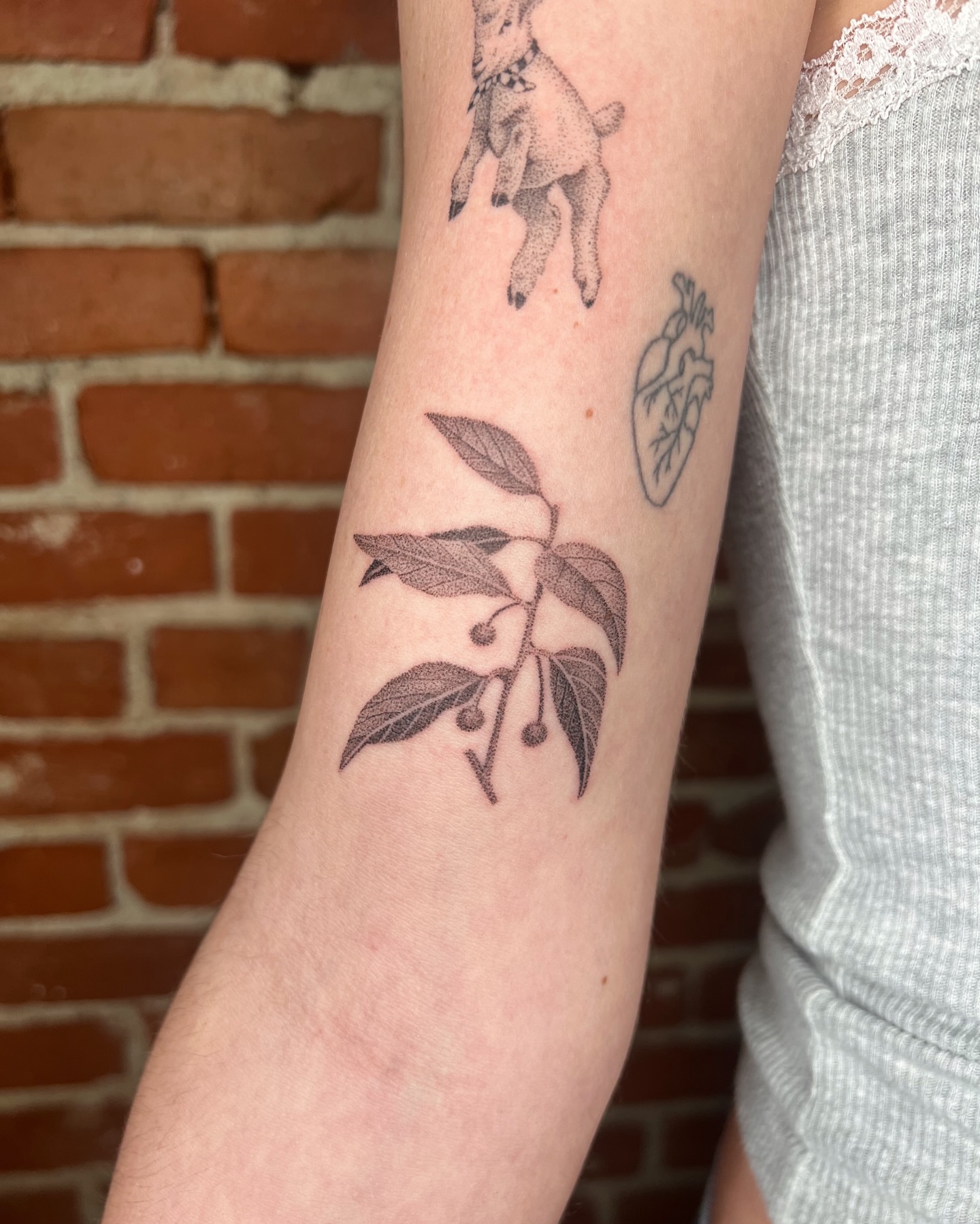 Plant with berries black and grey tattoo on the forearm by kait ❃ hartman