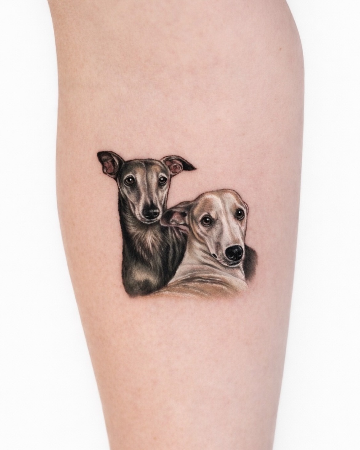 Greyhounds realism tattoo on the thigh by Hoze