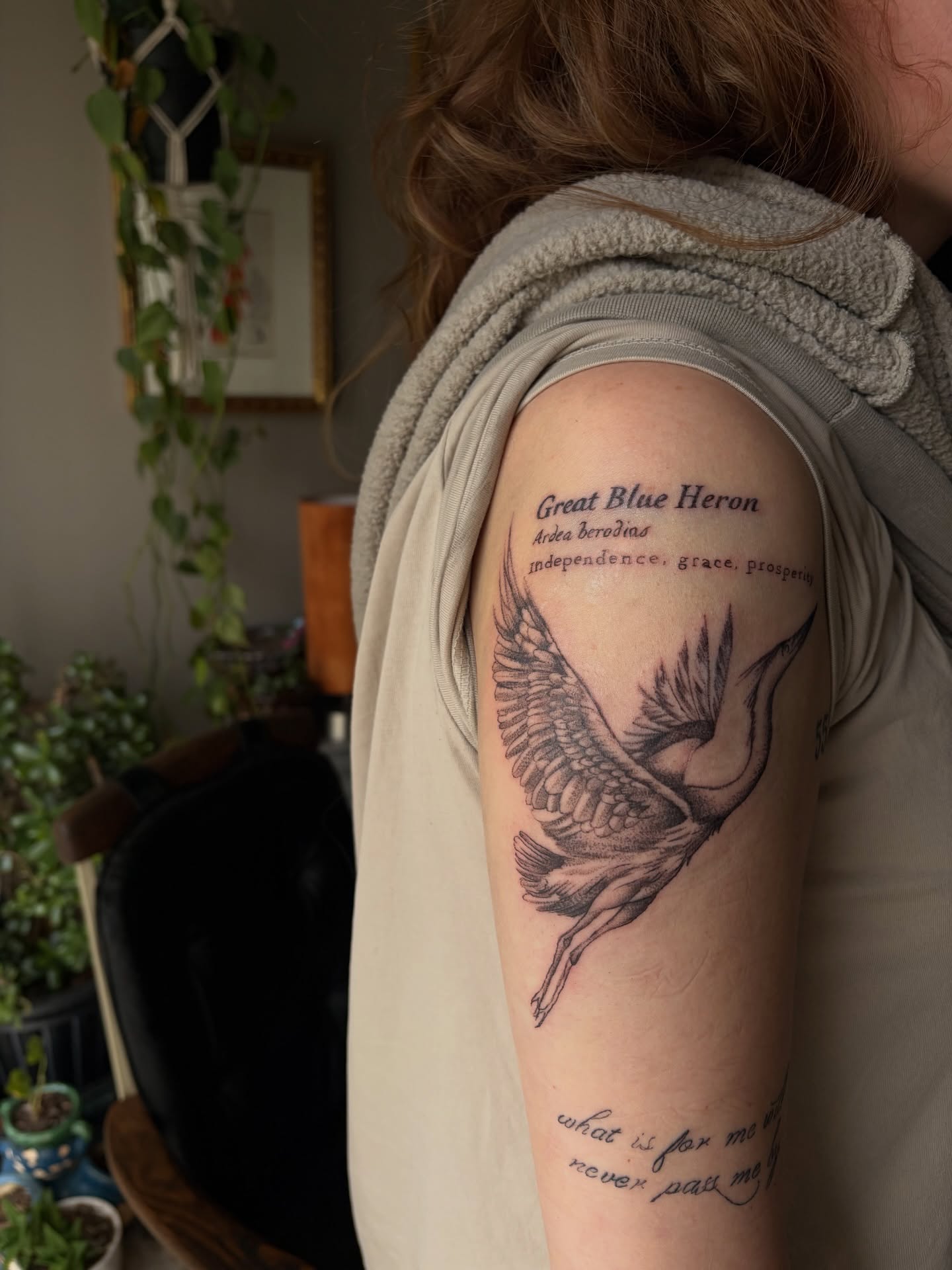 Great Blue Heron black and grey tattoo on the upper arm by ⚜️Embodied Tattoo⚜️, Columbus, Ohio