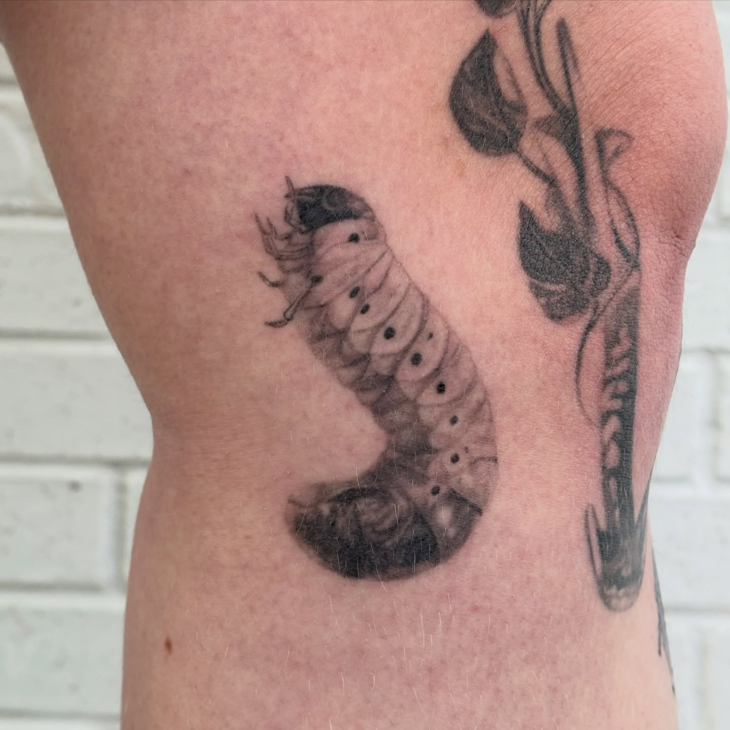 Tattoo by jordy, Dallas, TX