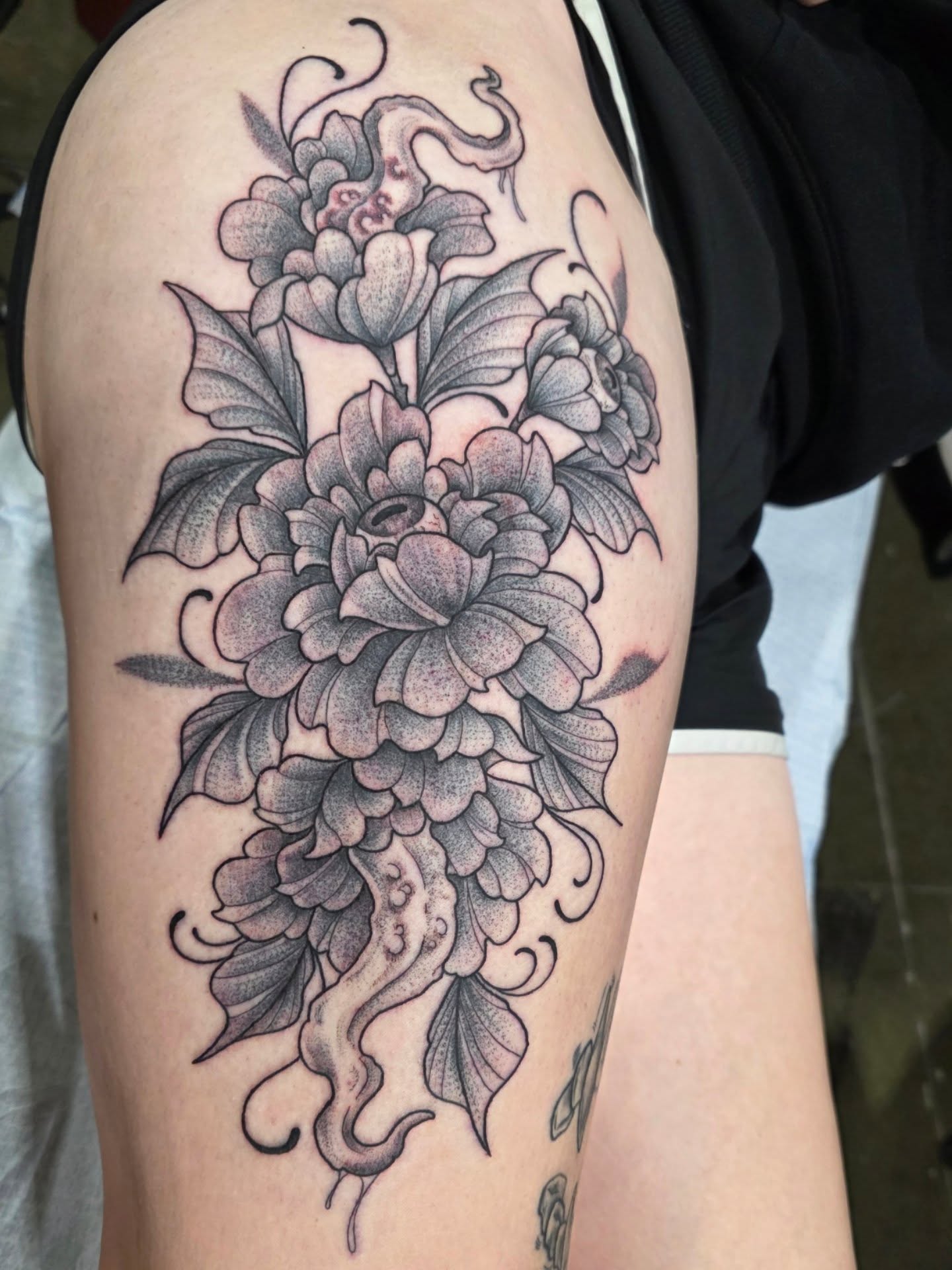 Tattoo by @nobodytattoosx — dotwork, black_and_grey